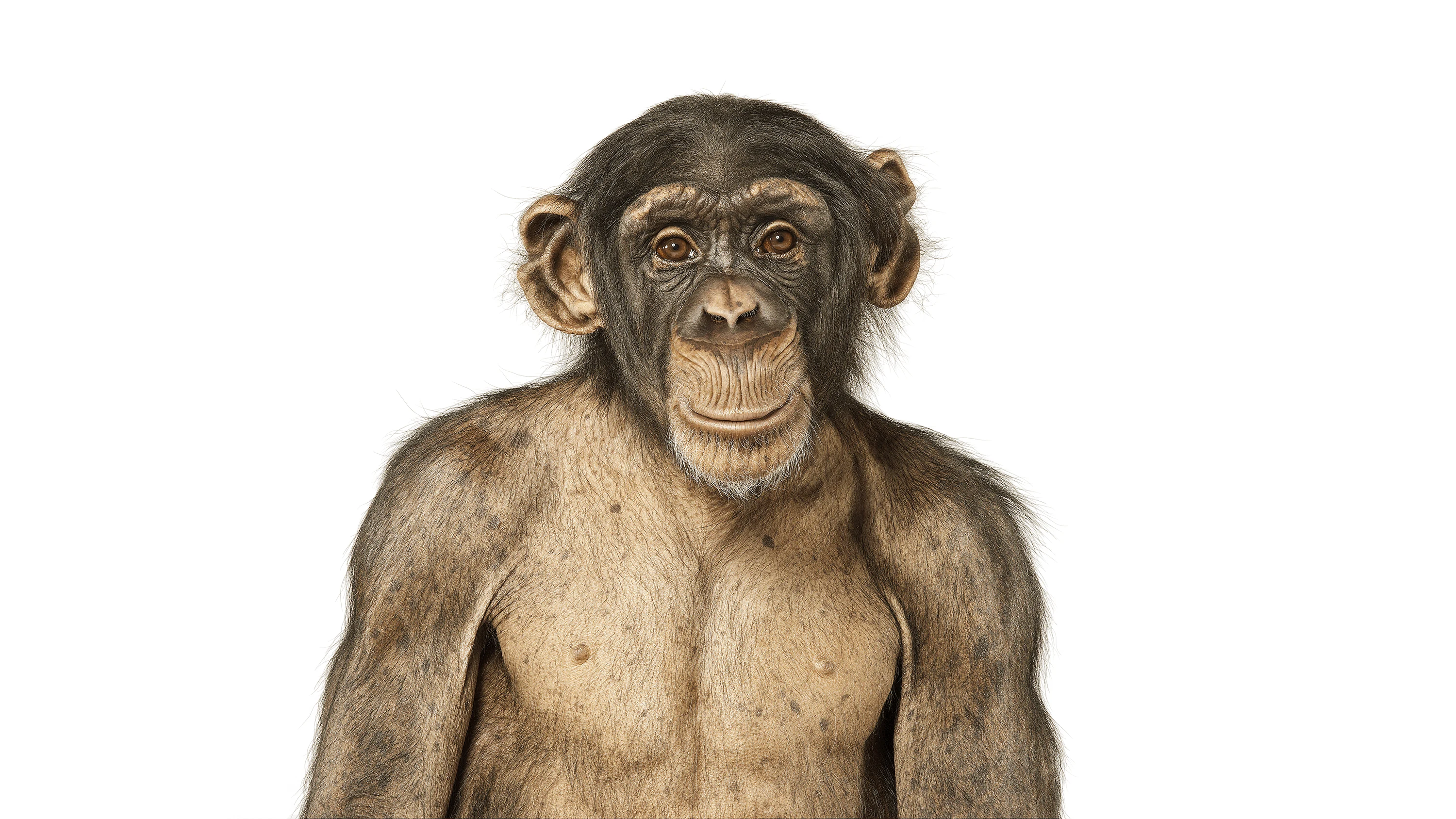 Andrew Zuckerman - Creature - 3