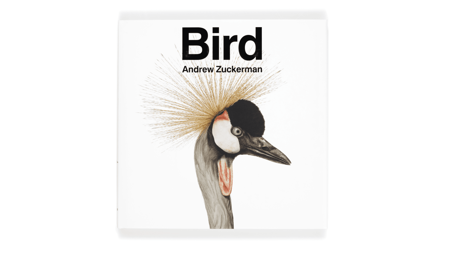 Bird 〈Andrew Zuckerman〉大型本 Bird - Andrew Zuckerman