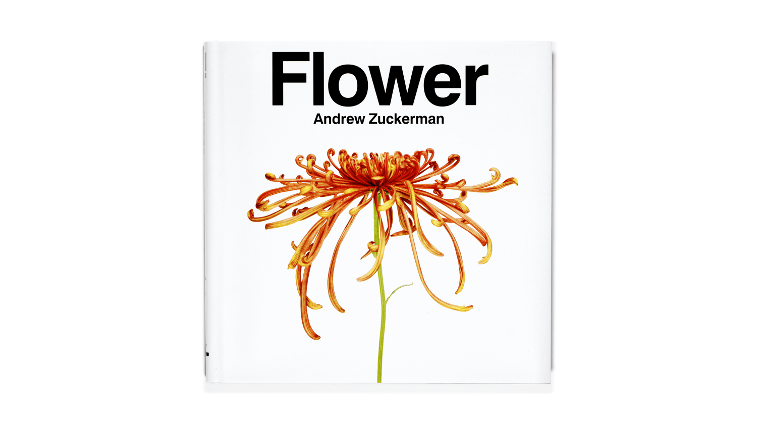 【洋書】FLOWER Andrew Zuckerman Flower - Andrew Zuckerman