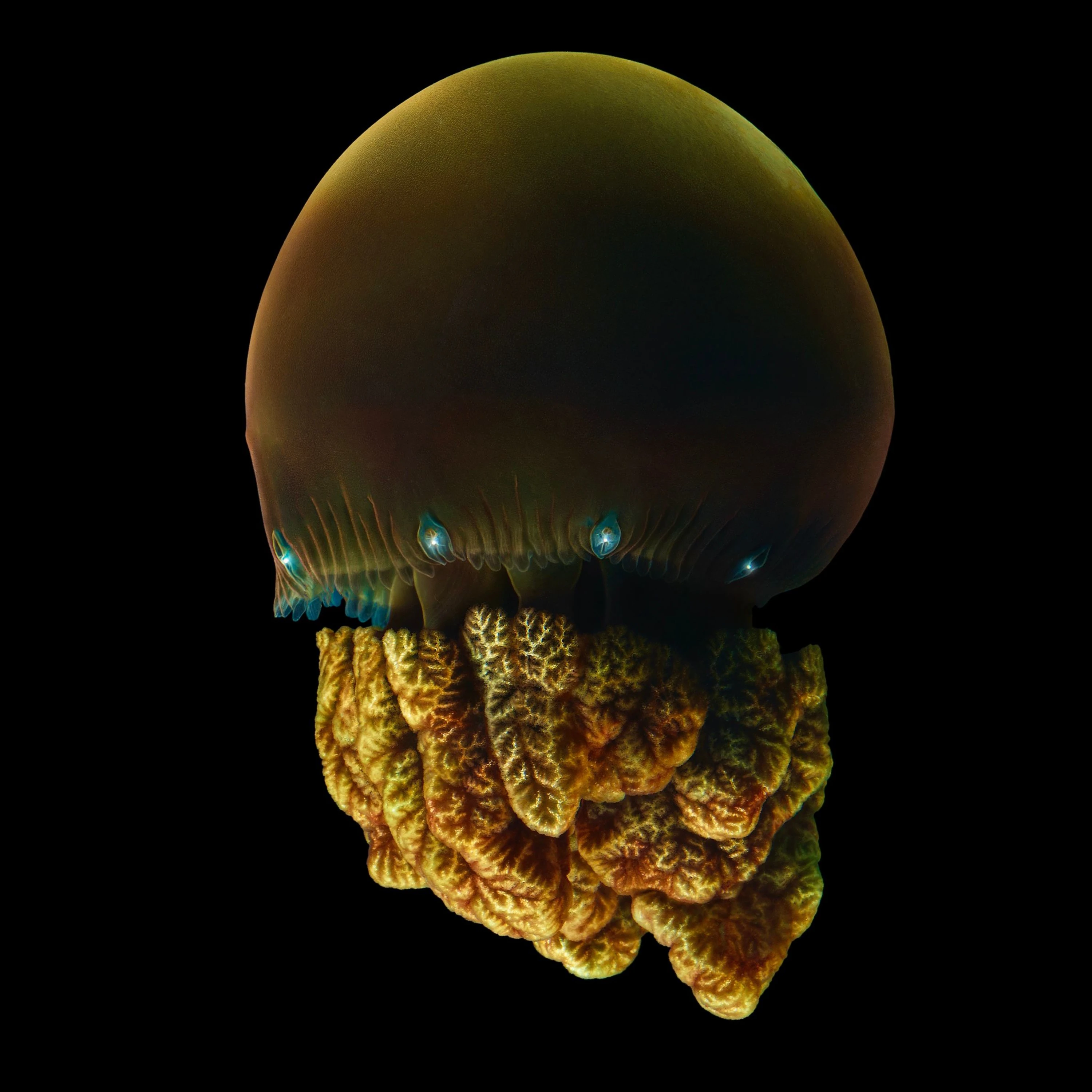 Andrew Zuckerman - Ocean - 43