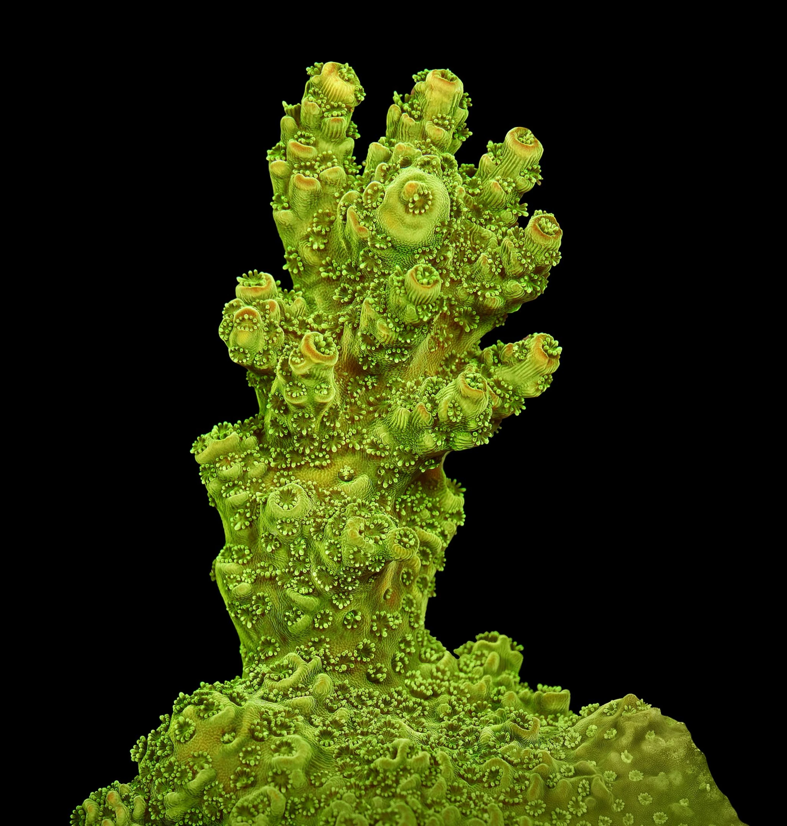 Andrew Zuckerman - Ocean - 18