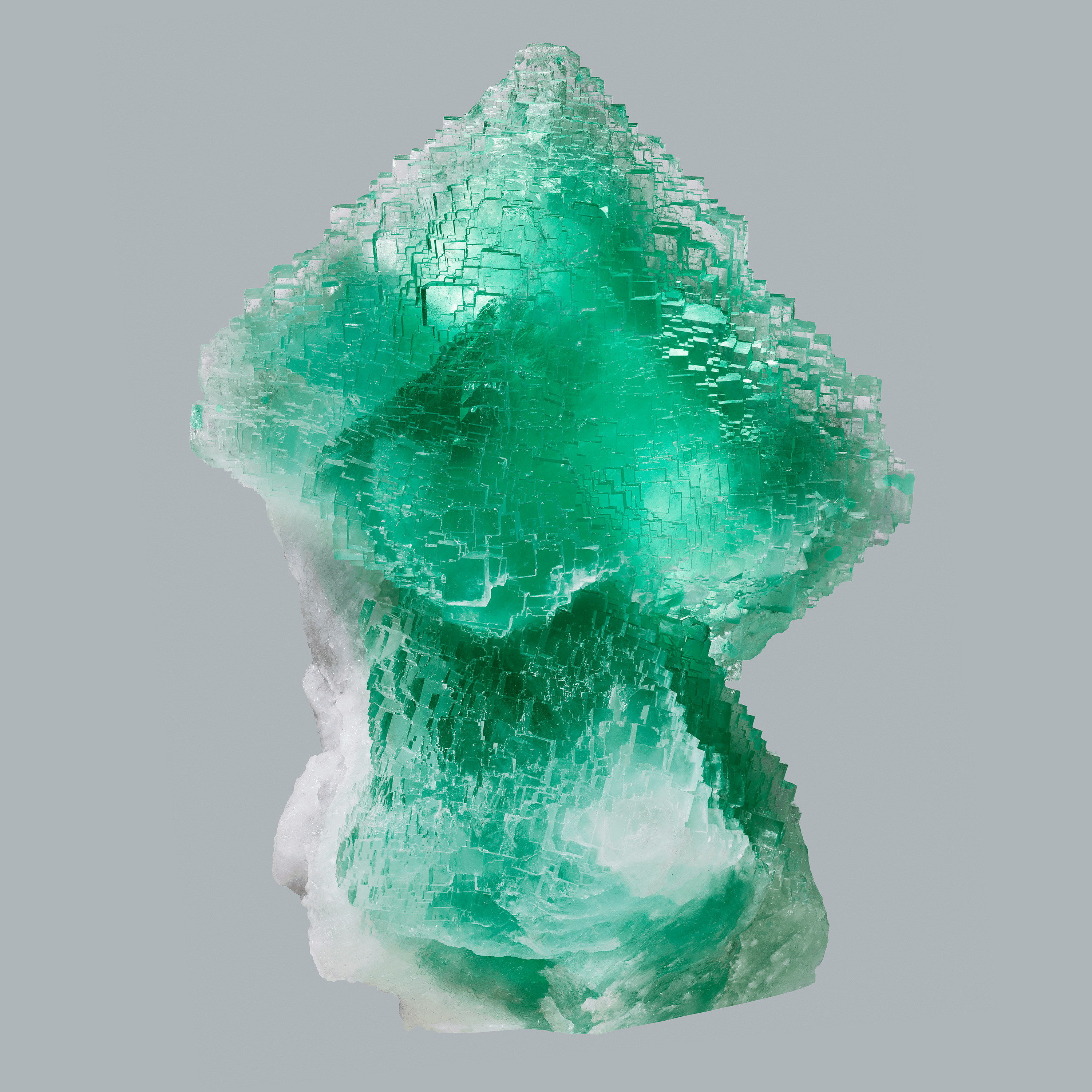 Andrew Zuckerman - Crystal - 26