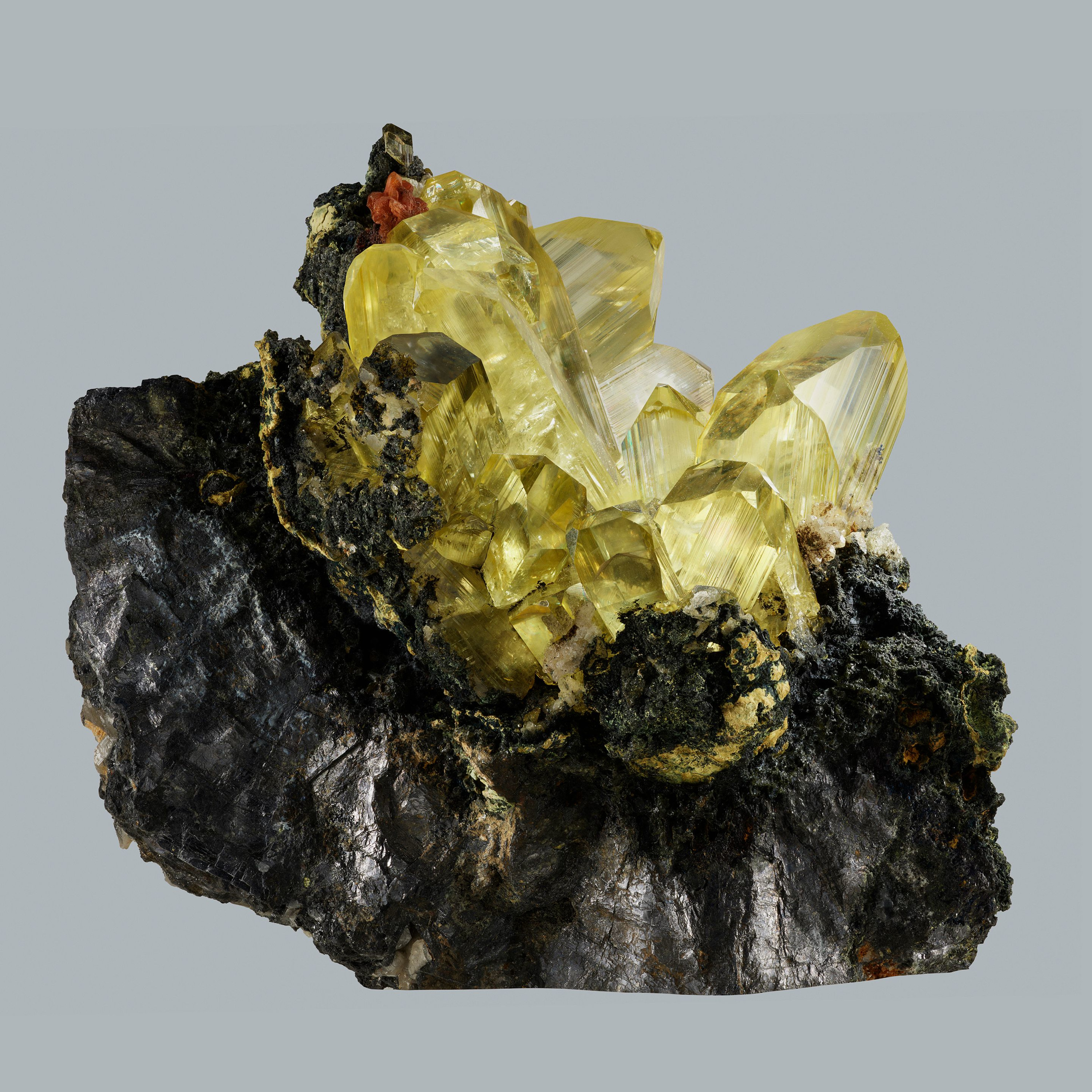 Andrew Zuckerman - Crystal - 15