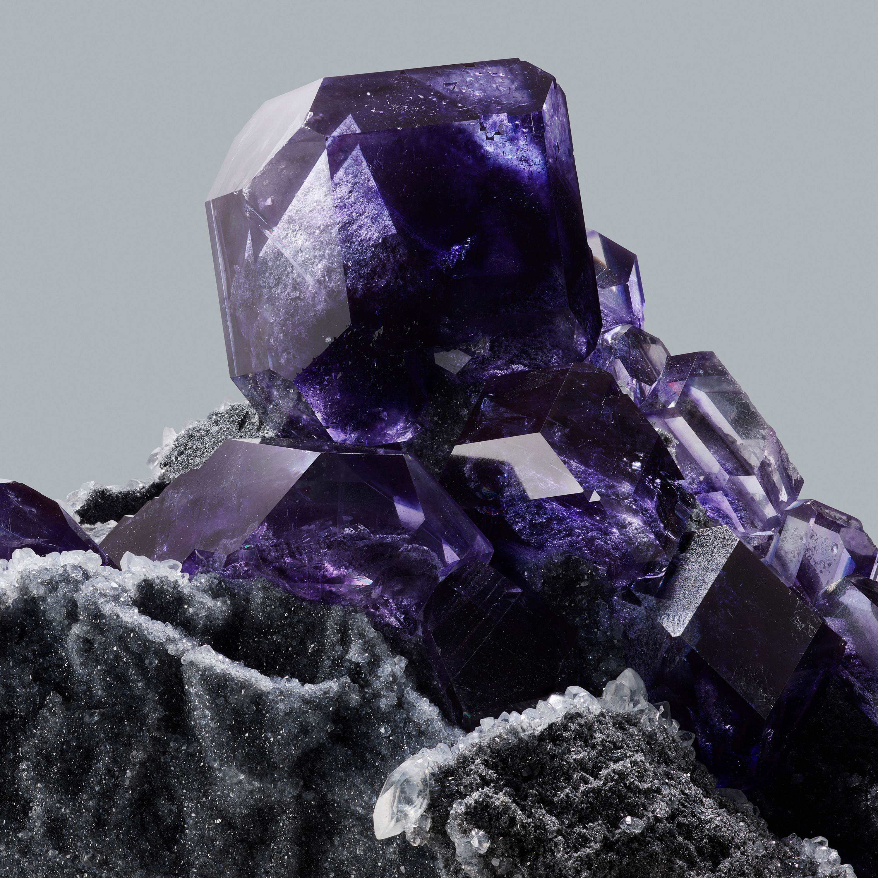 Andrew Zuckerman - Crystal - 11