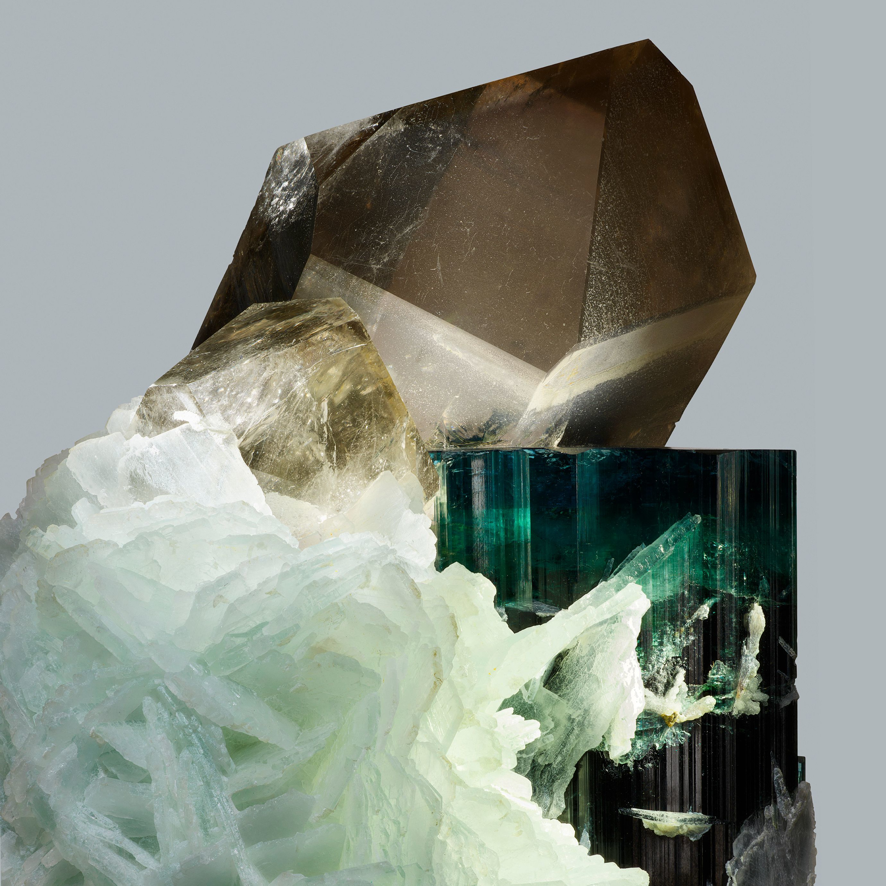 Andrew Zuckerman - Crystal - 10