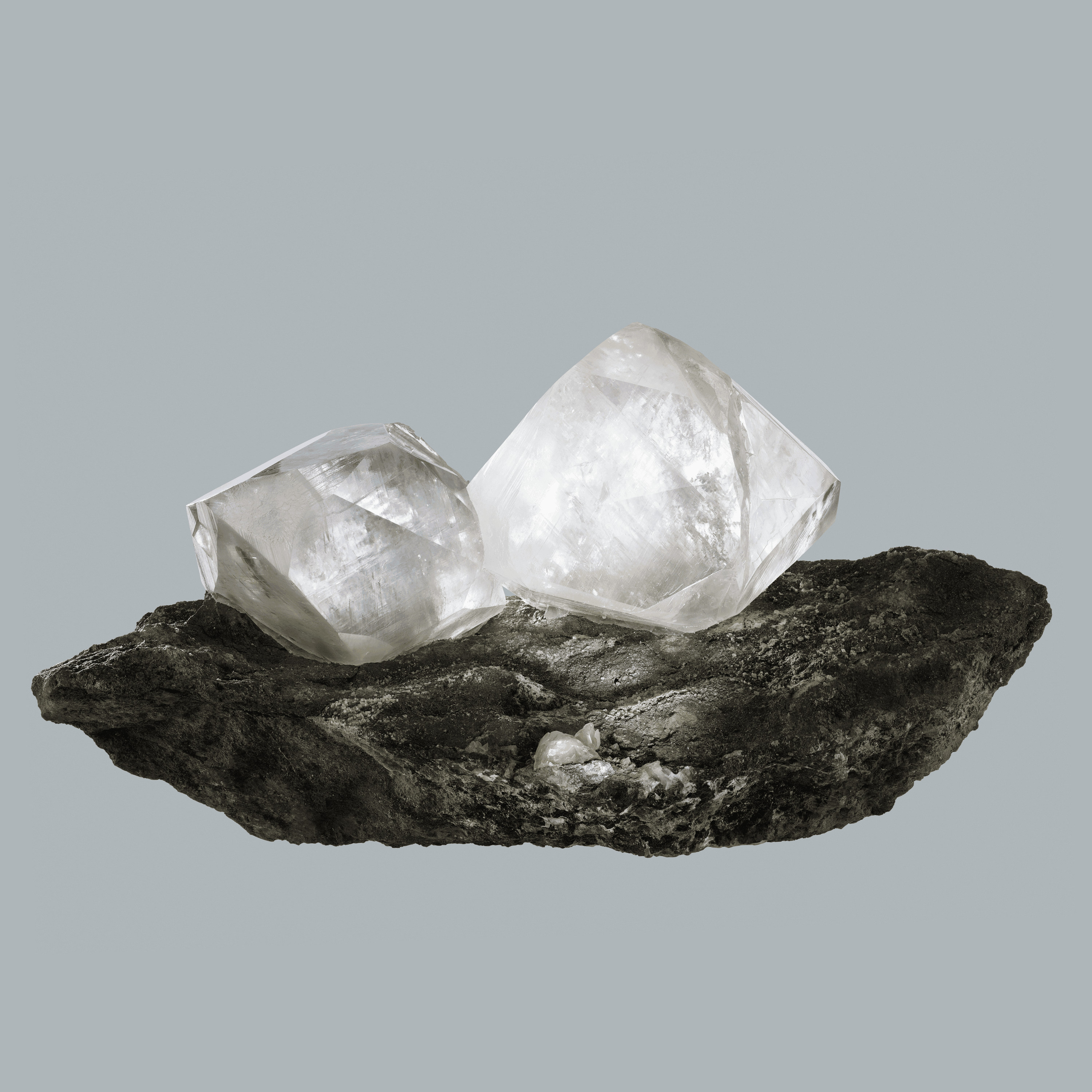 Andrew Zuckerman - Crystal - 4