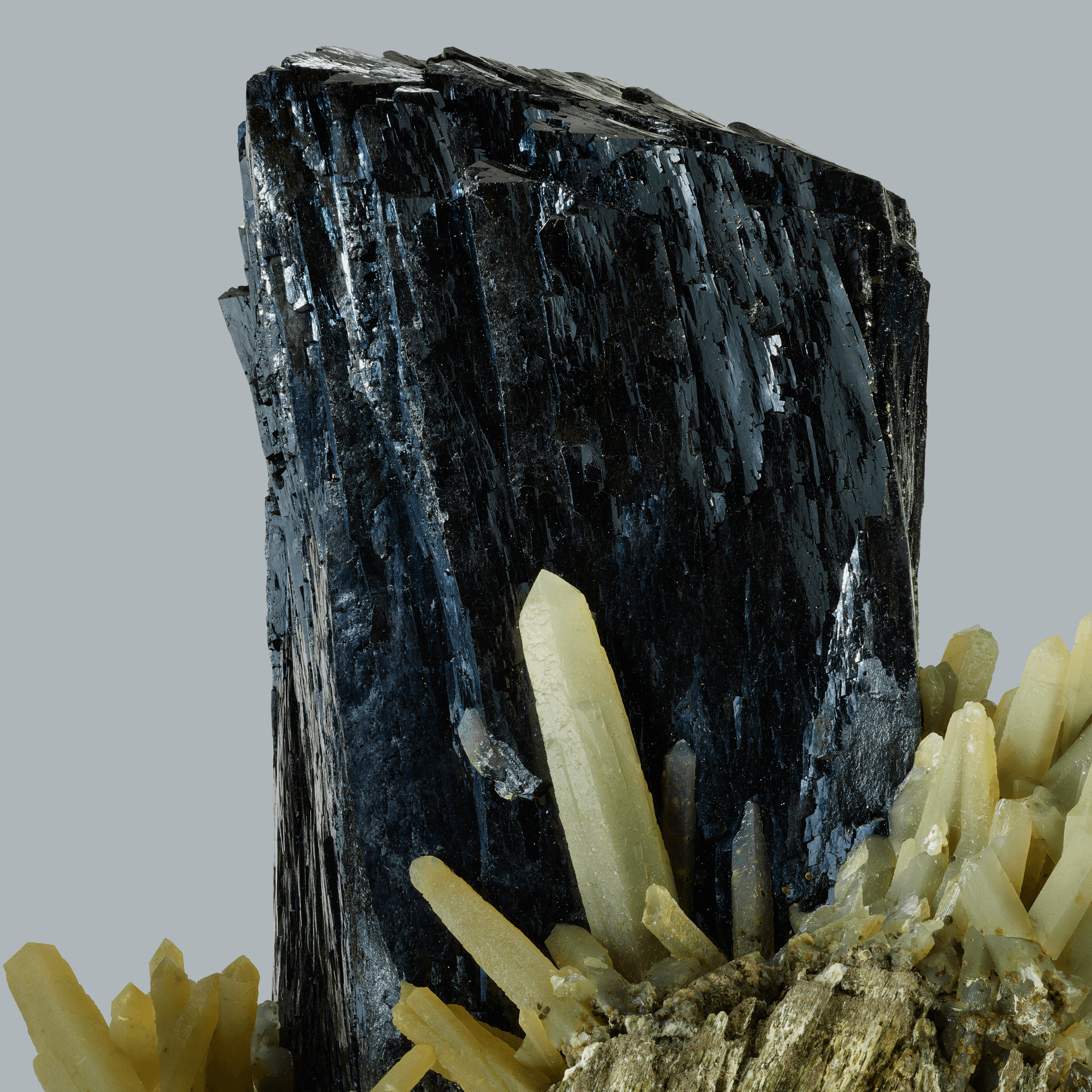 Andrew Zuckerman - Crystal - 28