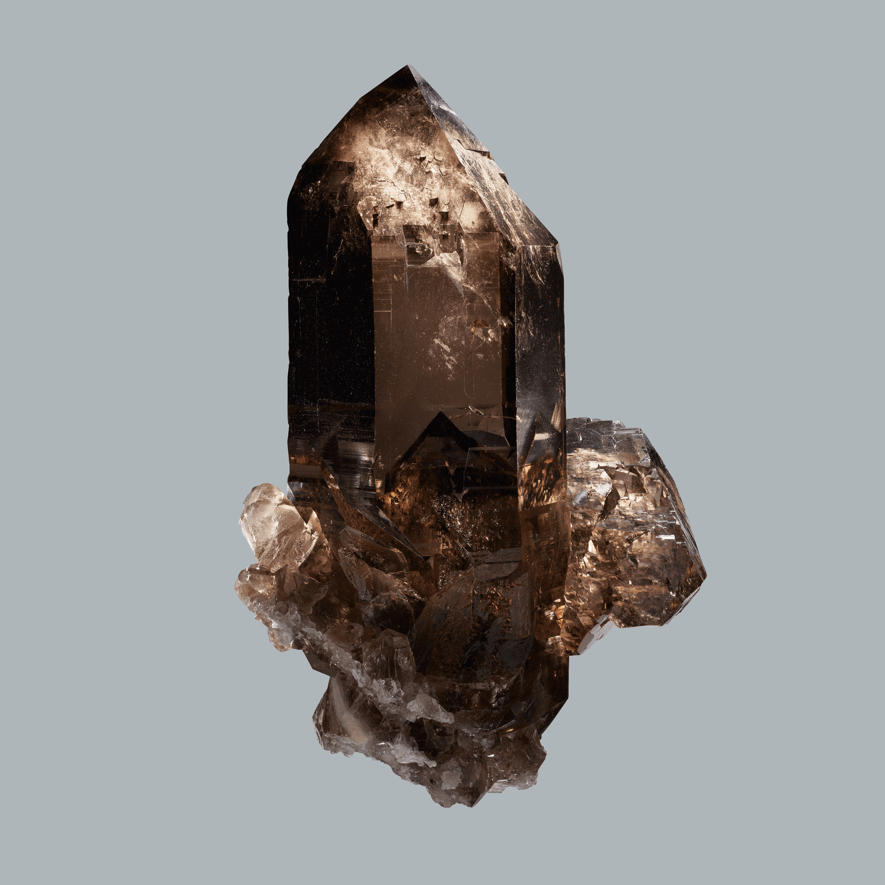Andrew Zuckerman - Crystal - 29