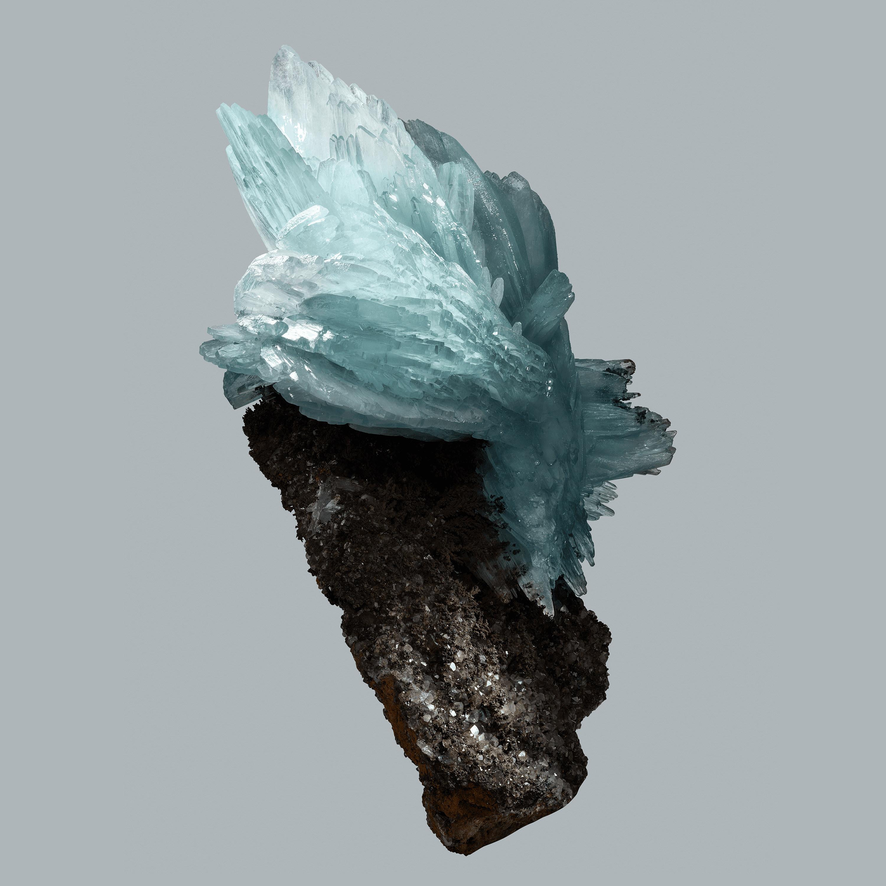 Andrew Zuckerman - Crystal - 31