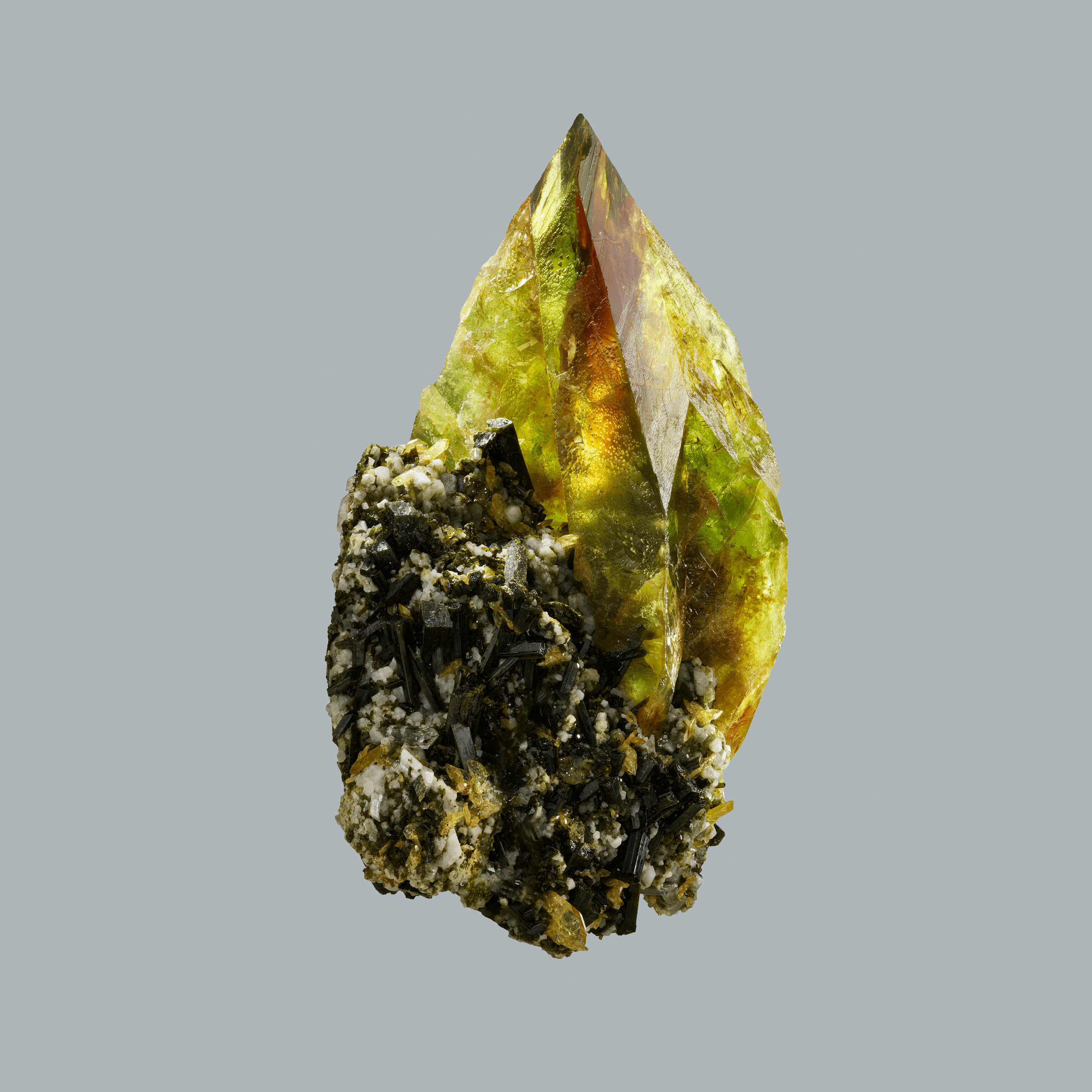 Andrew Zuckerman - Crystal - 30
