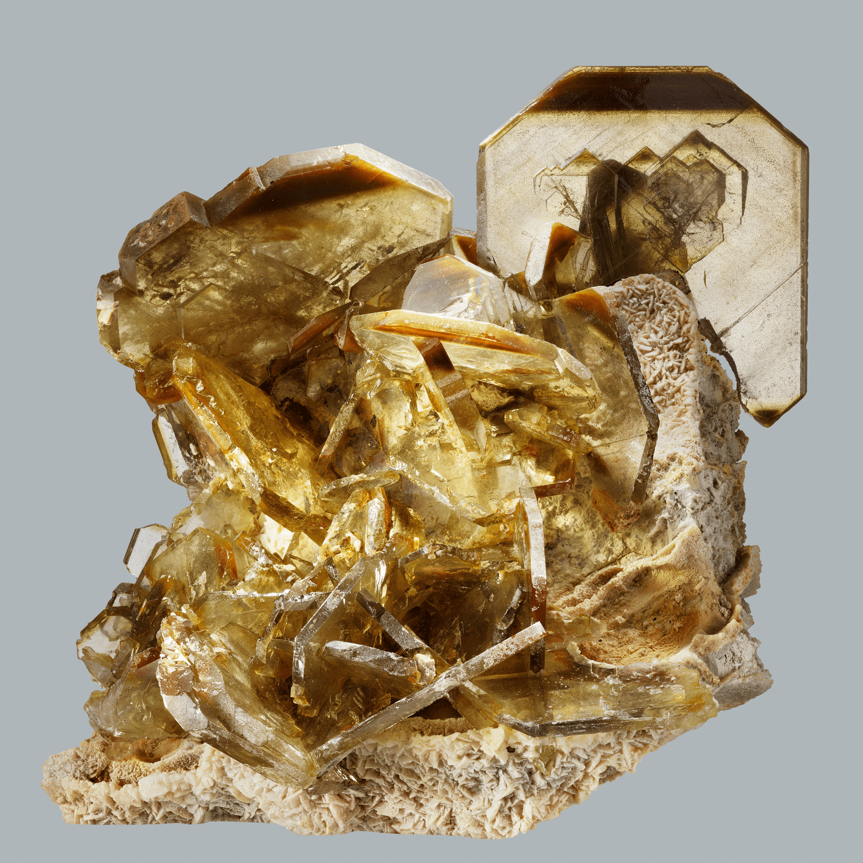 Andrew Zuckerman - Crystal - 13