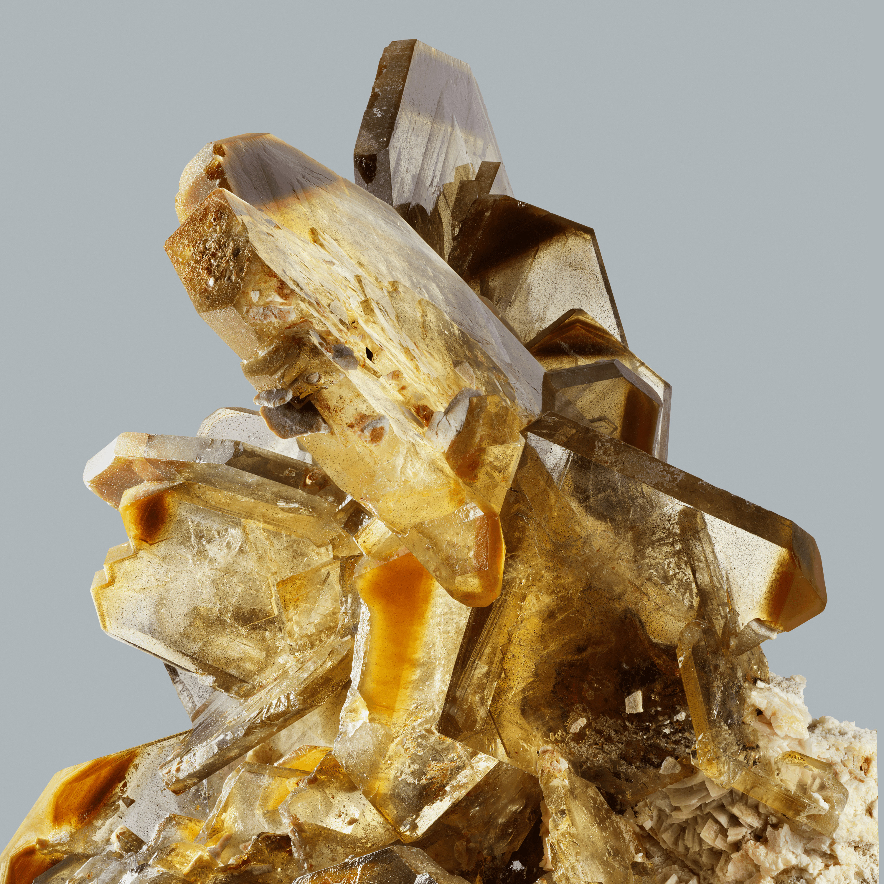 Andrew Zuckerman - Crystal - 14