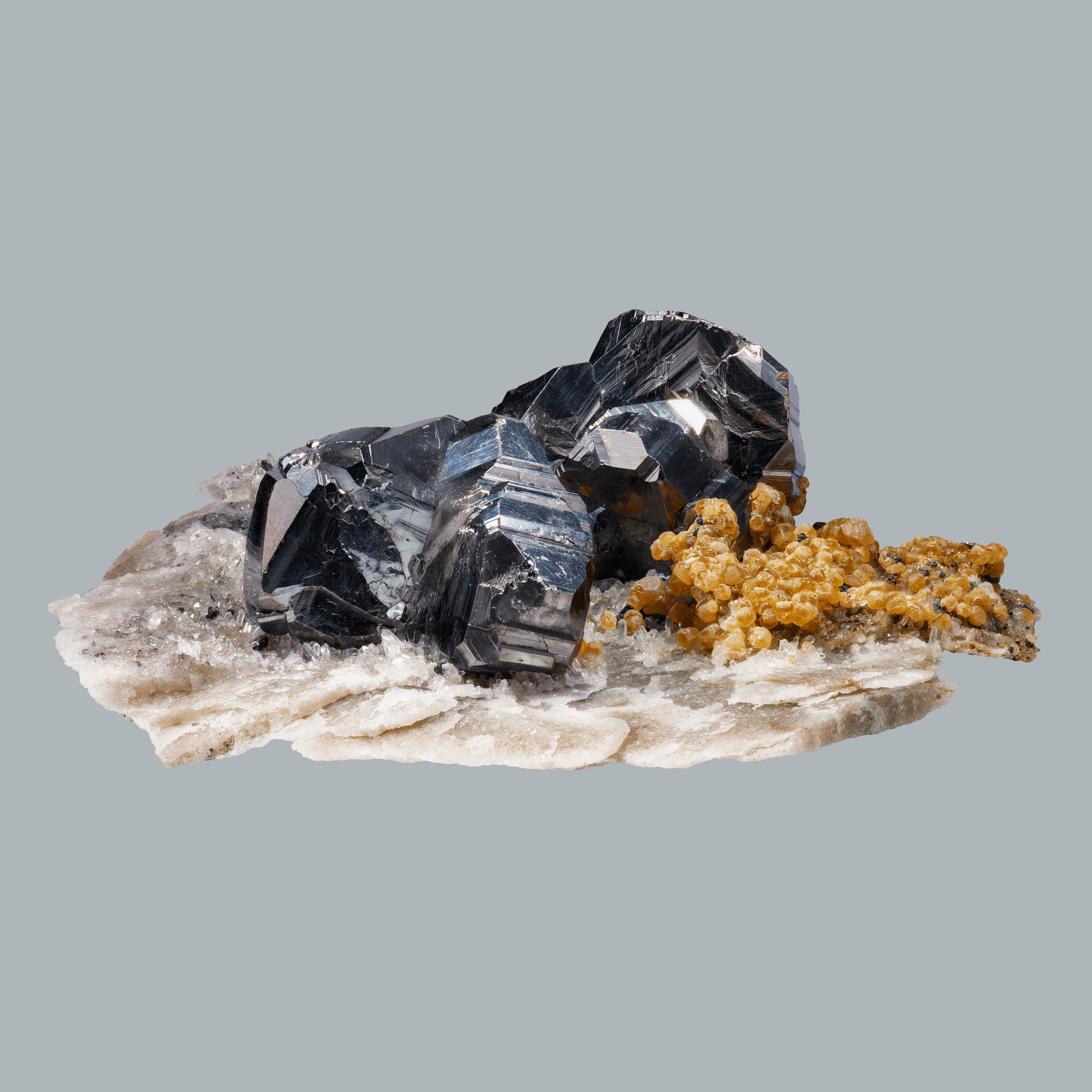 Andrew Zuckerman - Crystal - 7