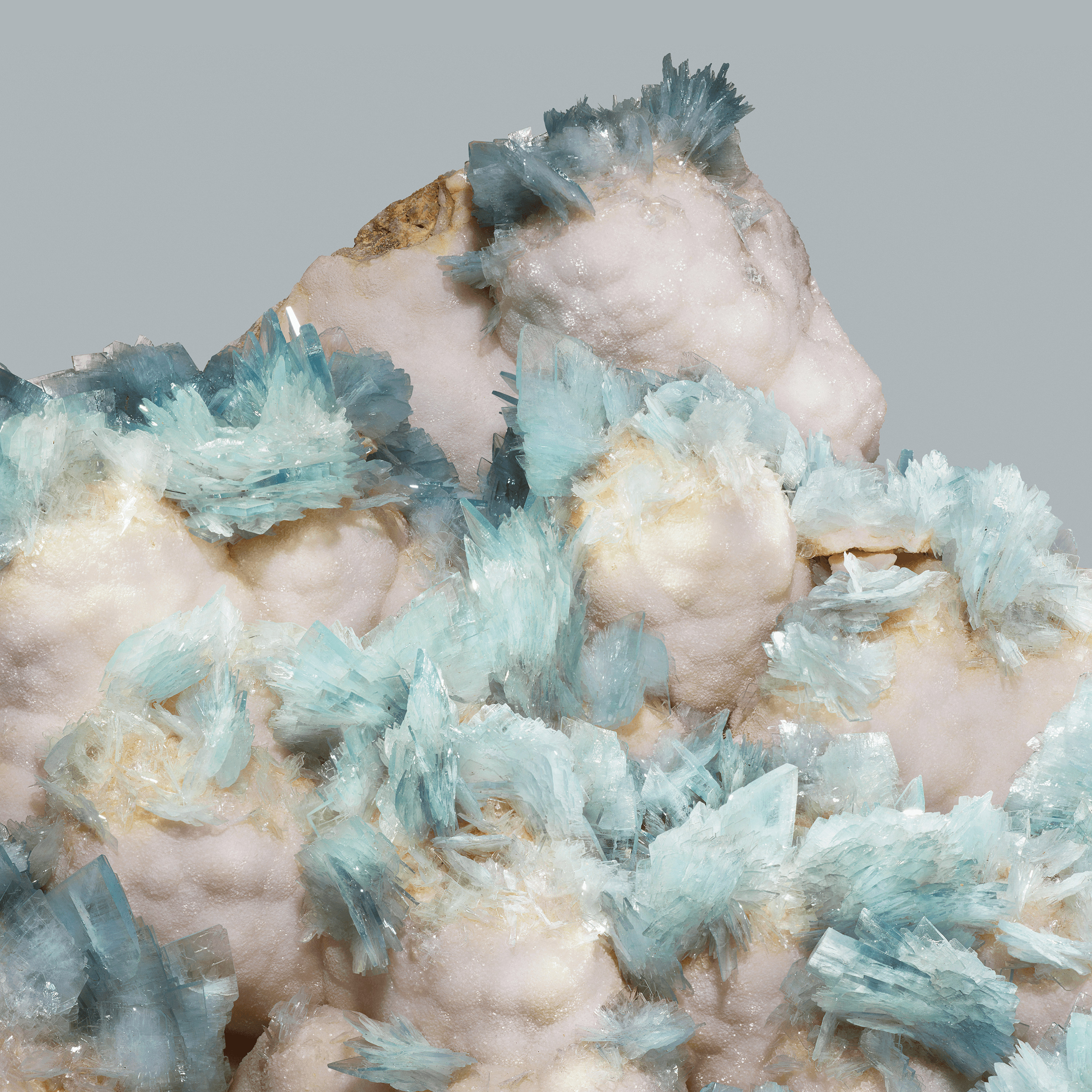 Andrew Zuckerman - Crystal - 25