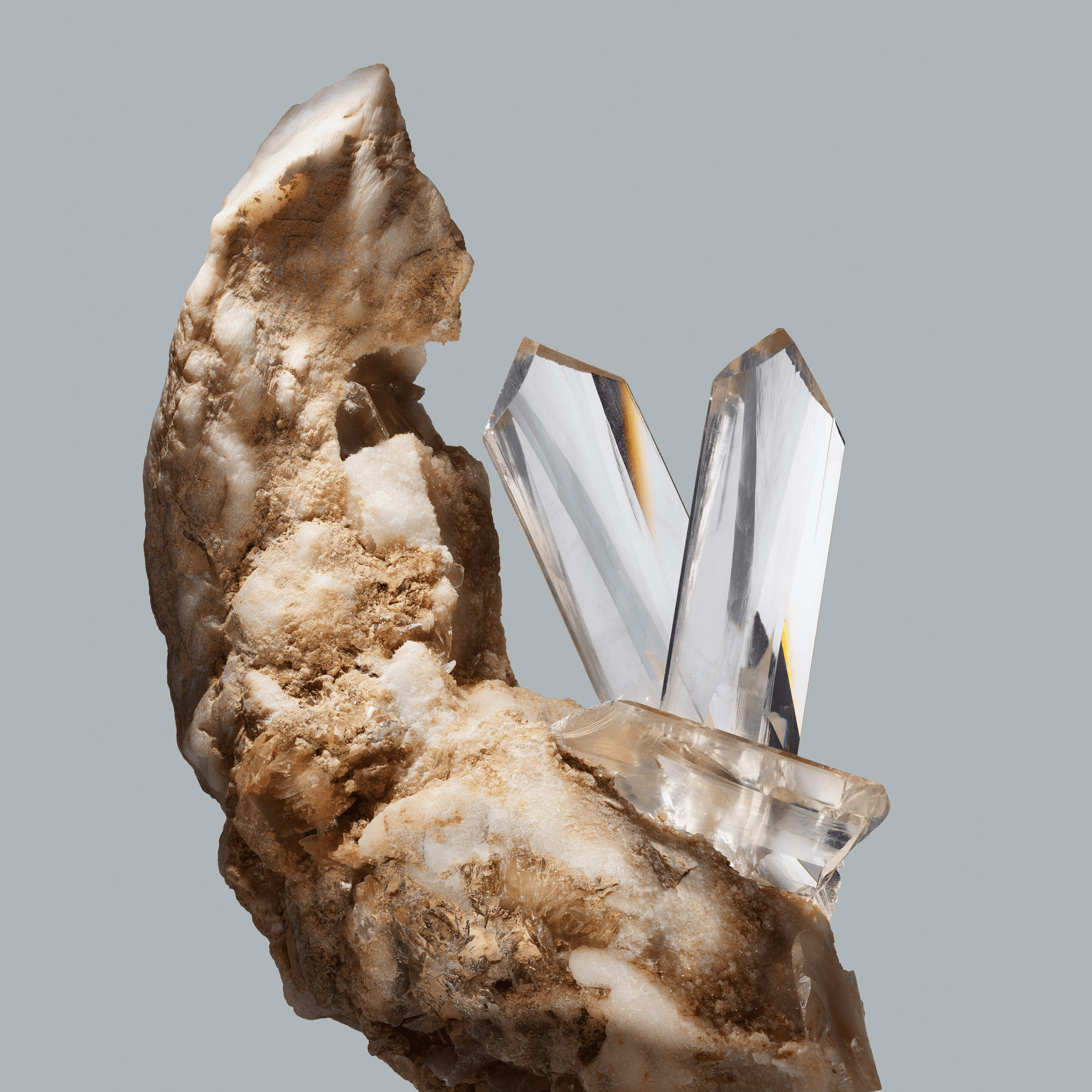 Andrew Zuckerman - Crystal - 5