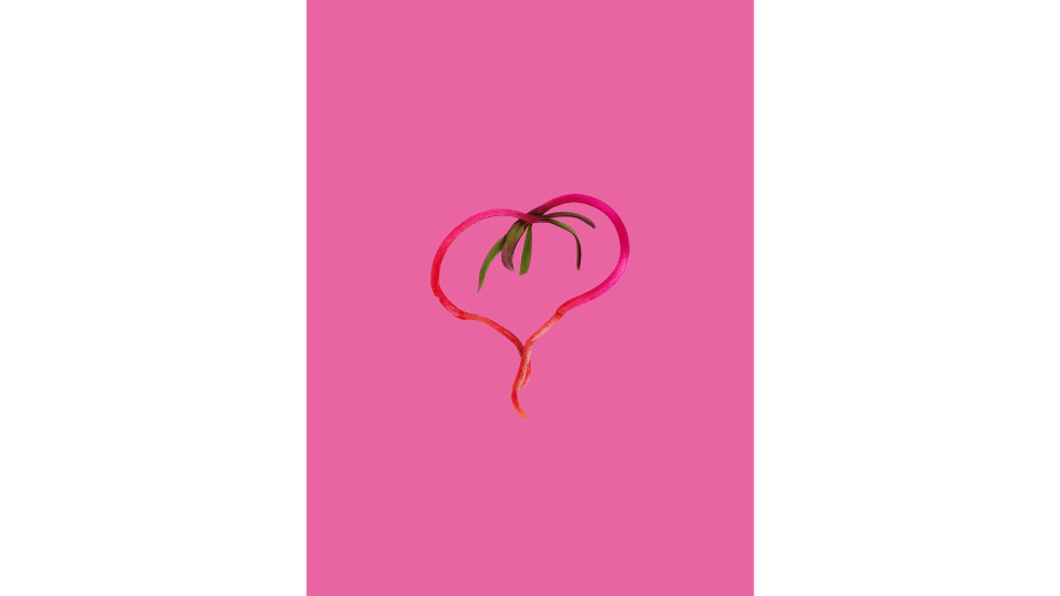 Andrew Zuckerman - Seed - 14