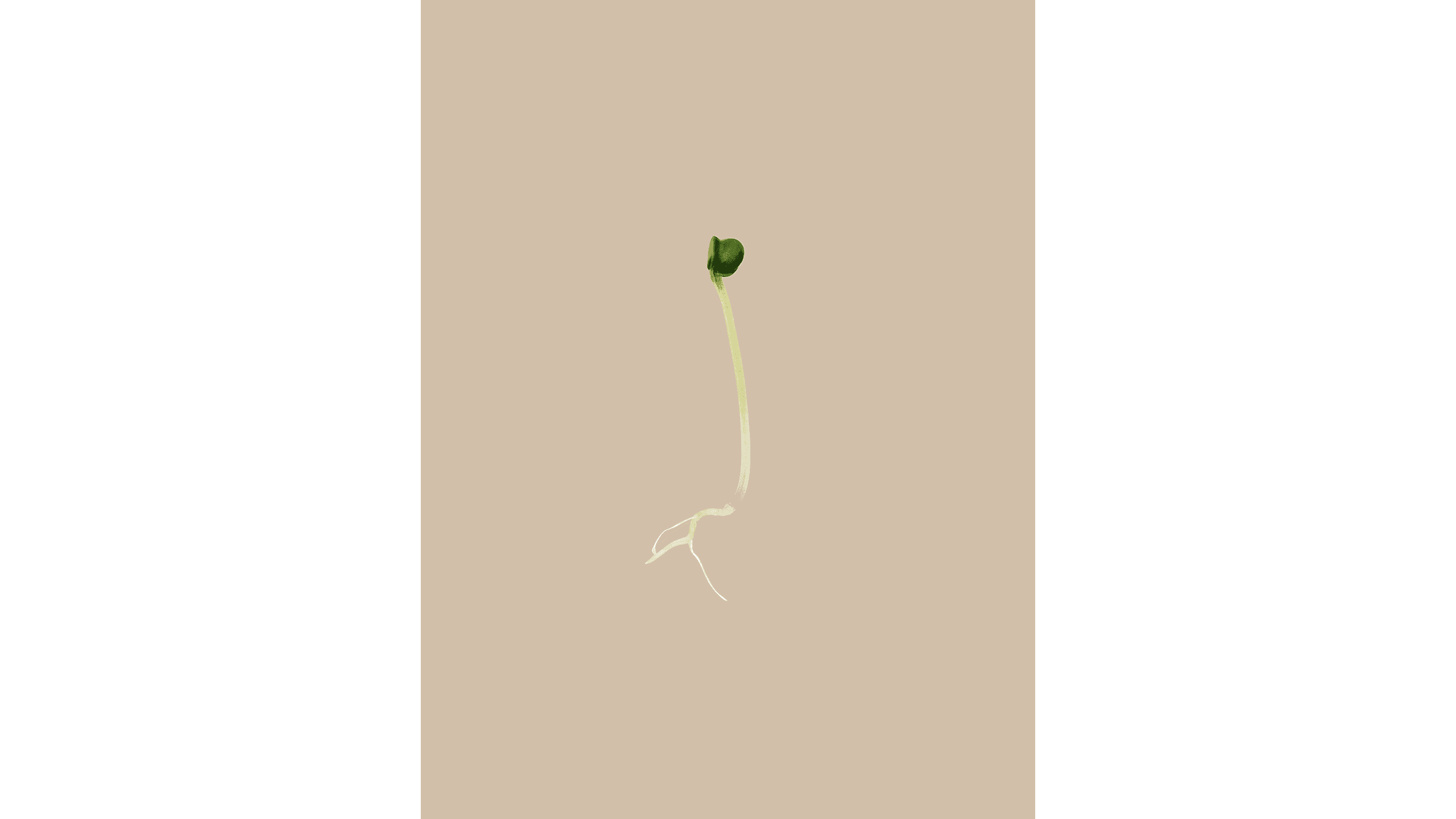 Andrew Zuckerman - Seed - 27