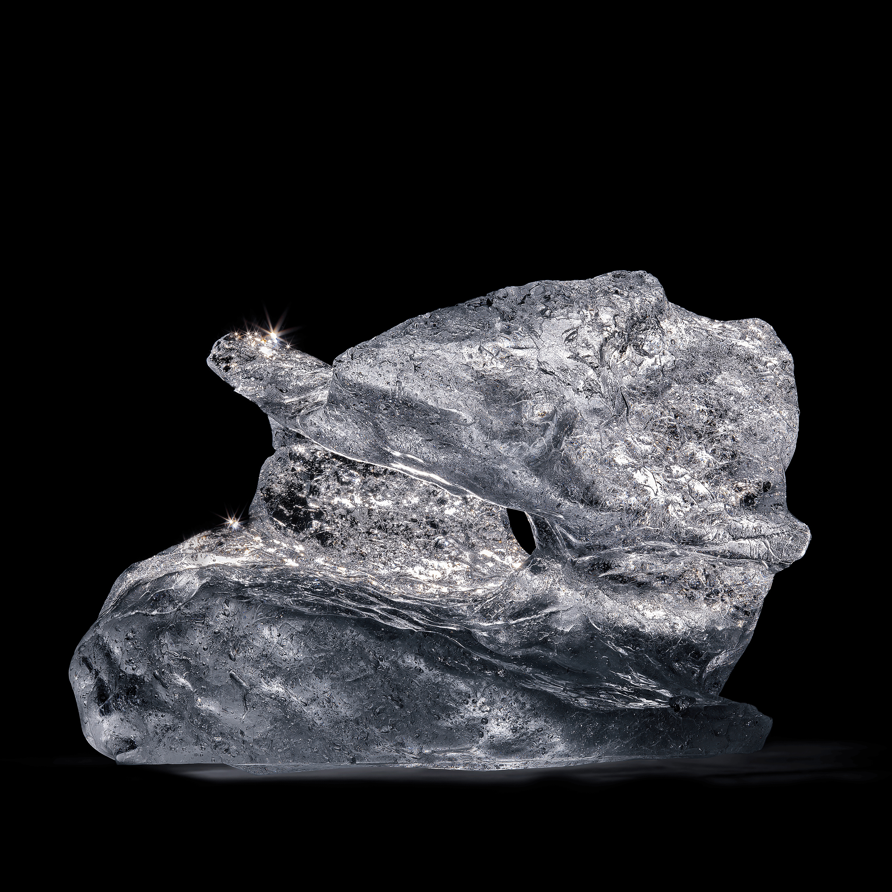Andrew Zuckerman - Arctic Ice - 12