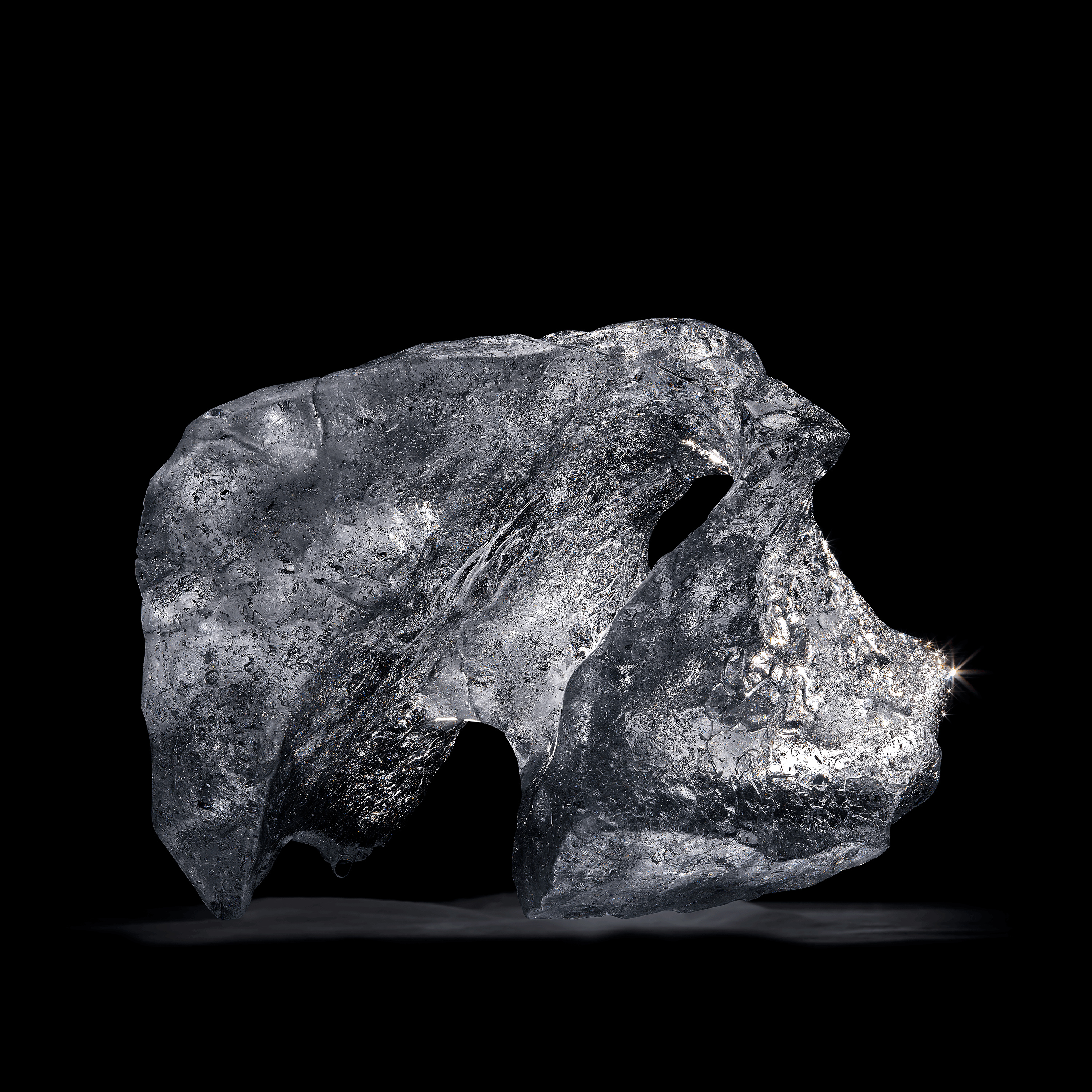 Andrew Zuckerman - Arctic Ice - 5