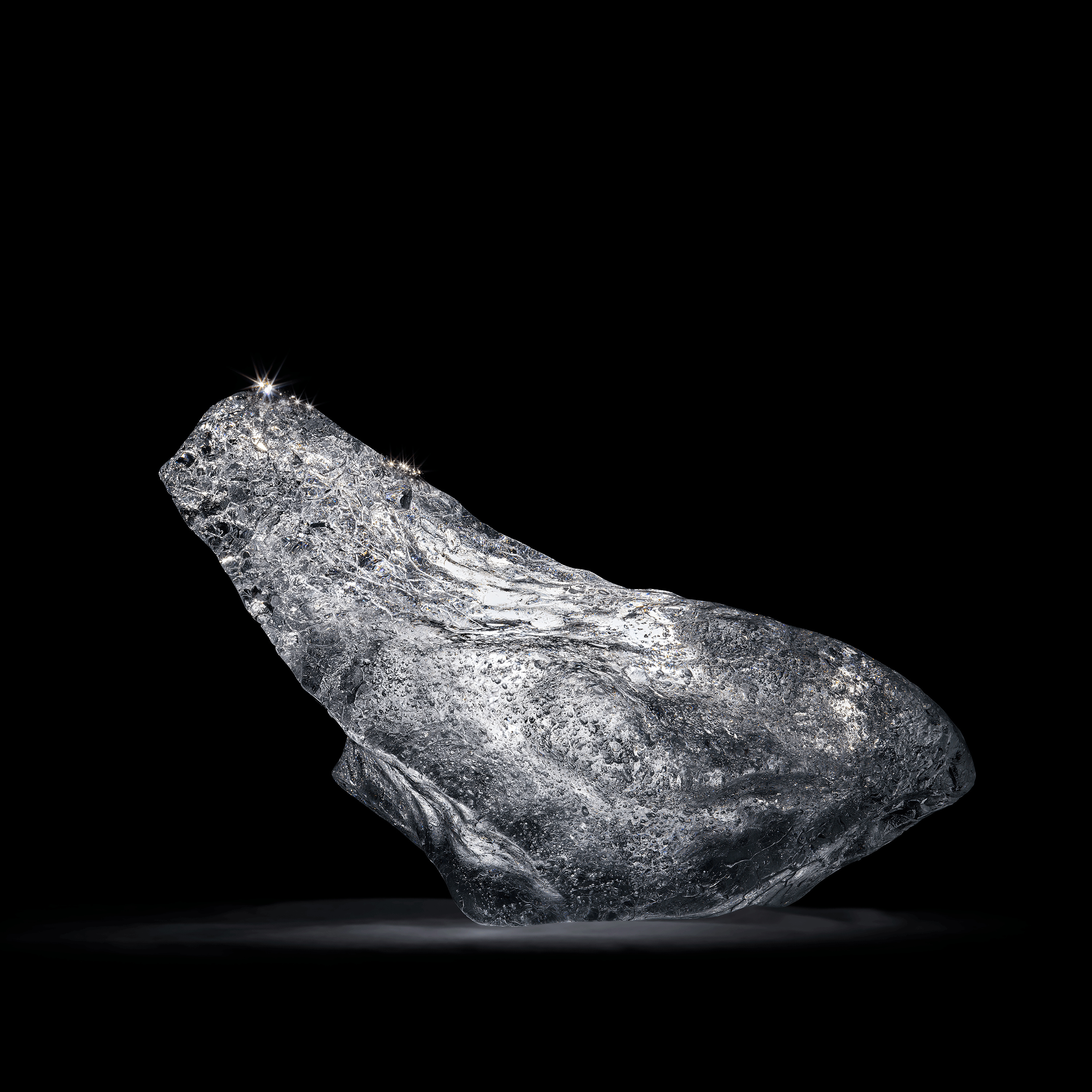 Andrew Zuckerman - Arctic Ice - 10