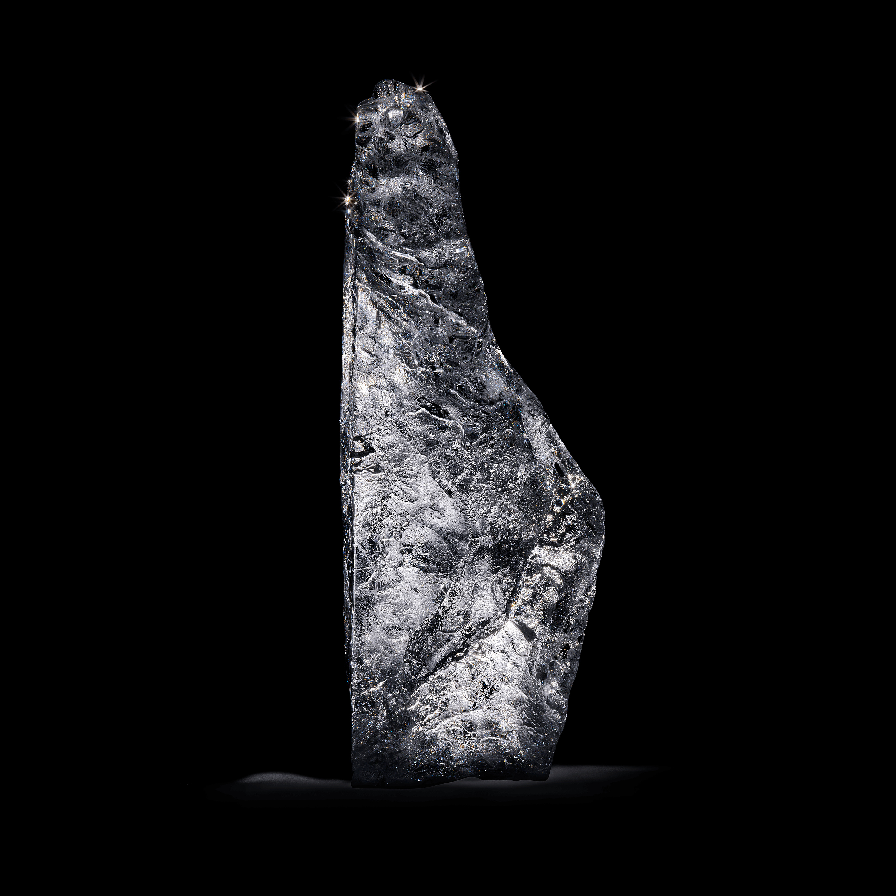 Andrew Zuckerman - Arctic Ice - 2