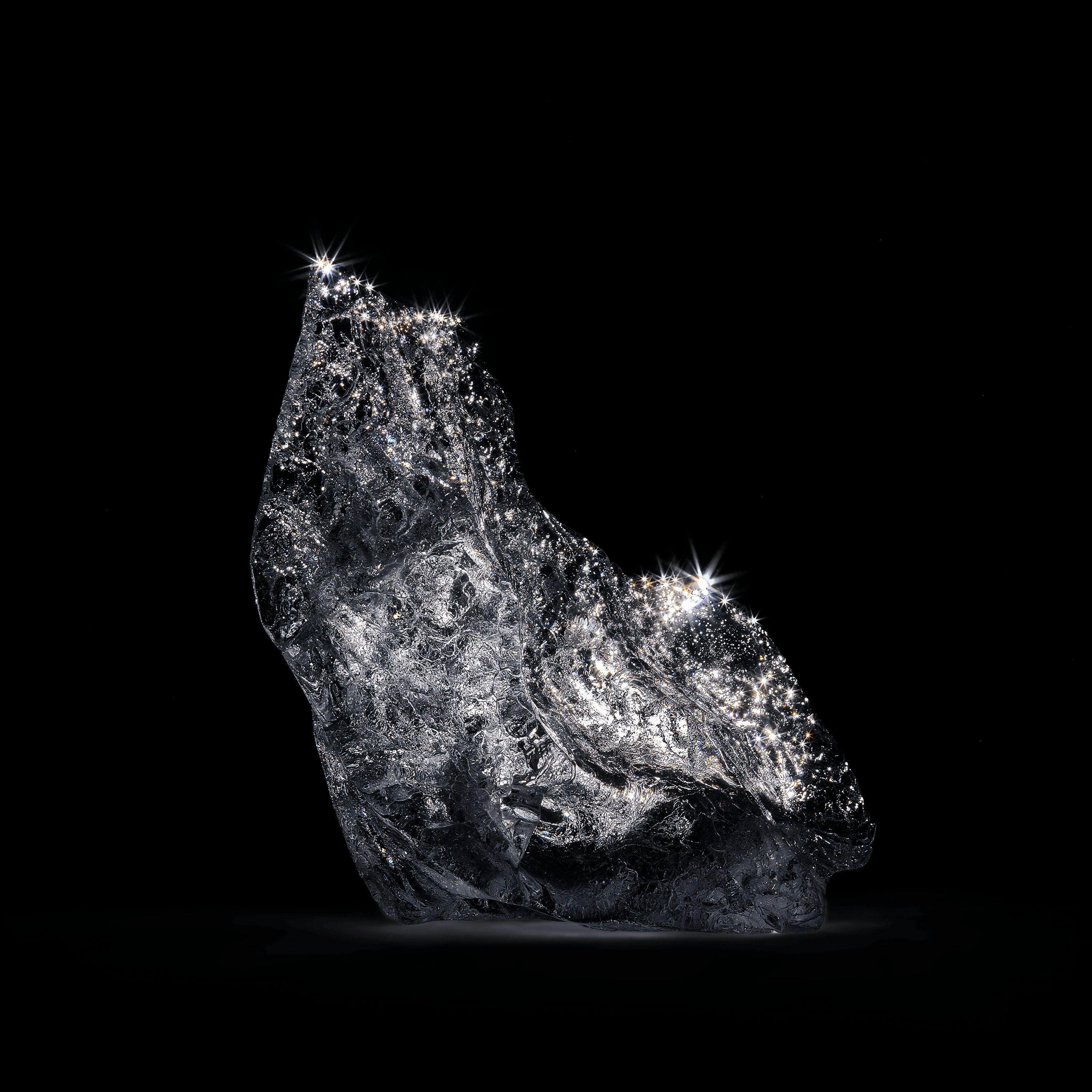 Andrew Zuckerman - Arctic Ice - 1