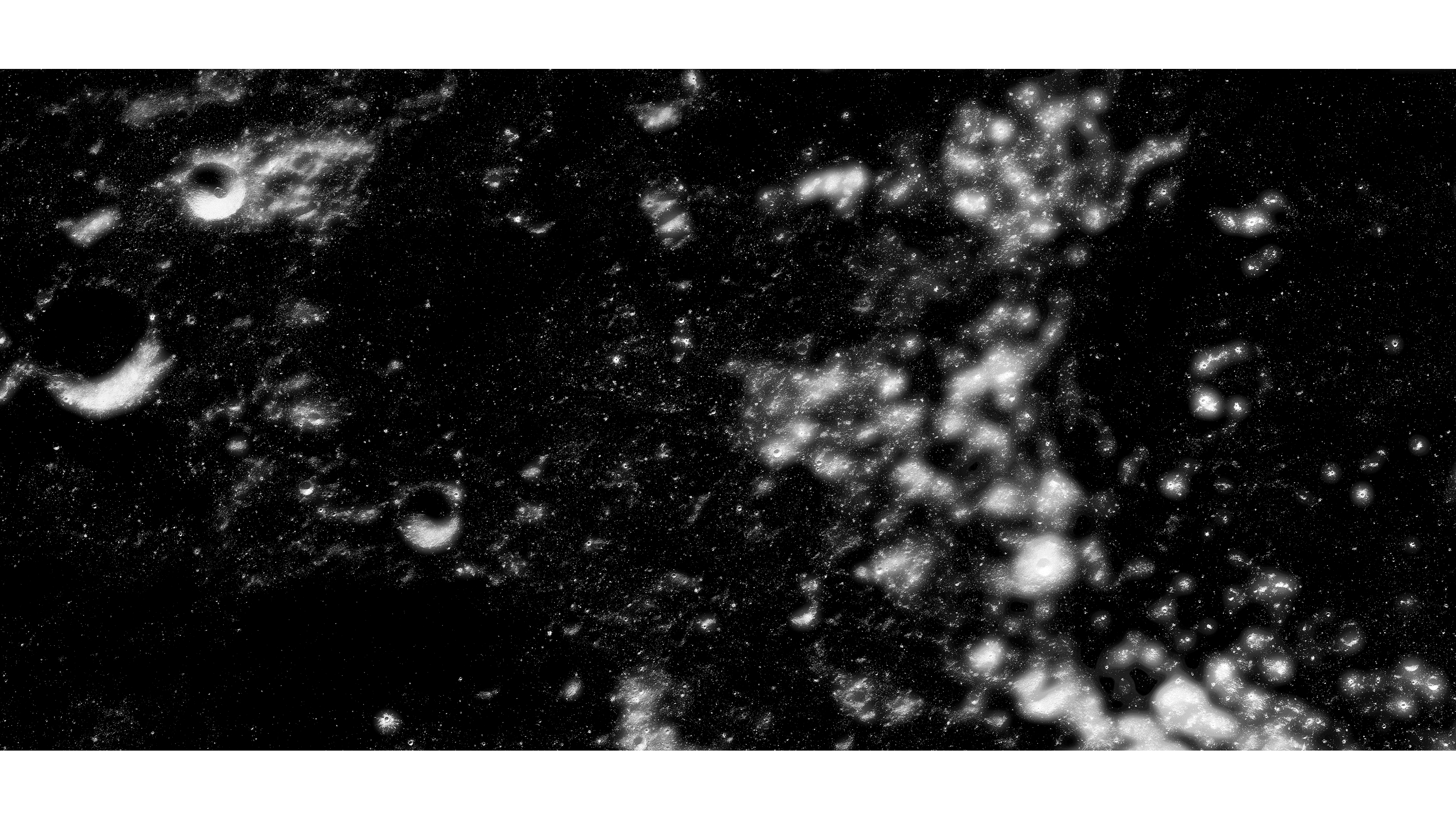 Andrew Zuckerman - Moon - 8