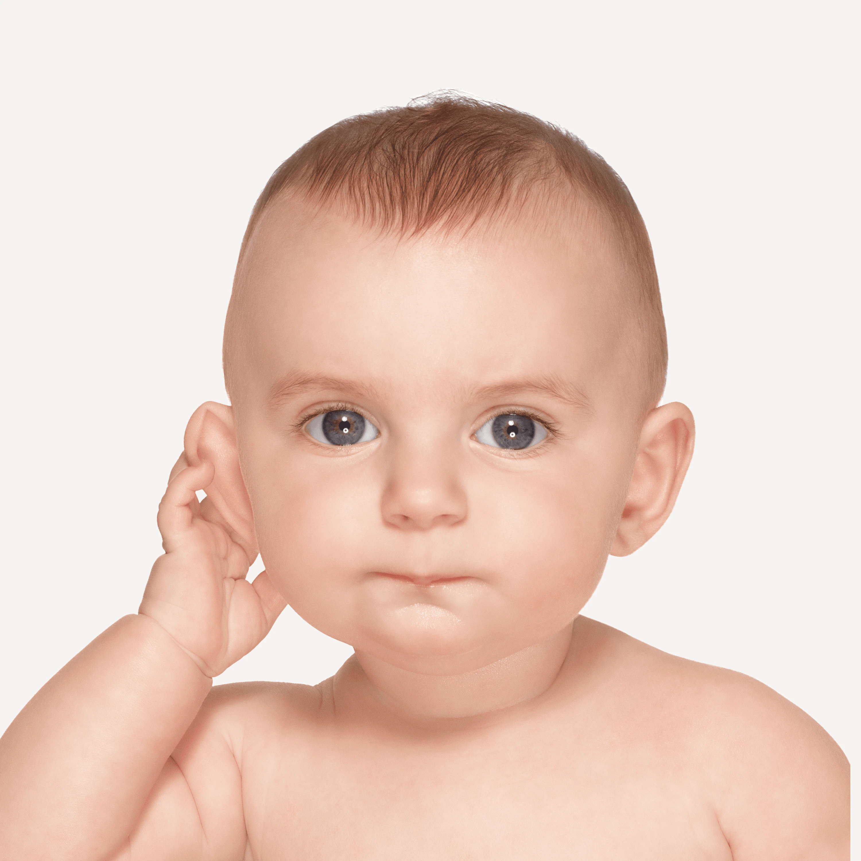 Andrew Zuckerman - Big Baby - 5