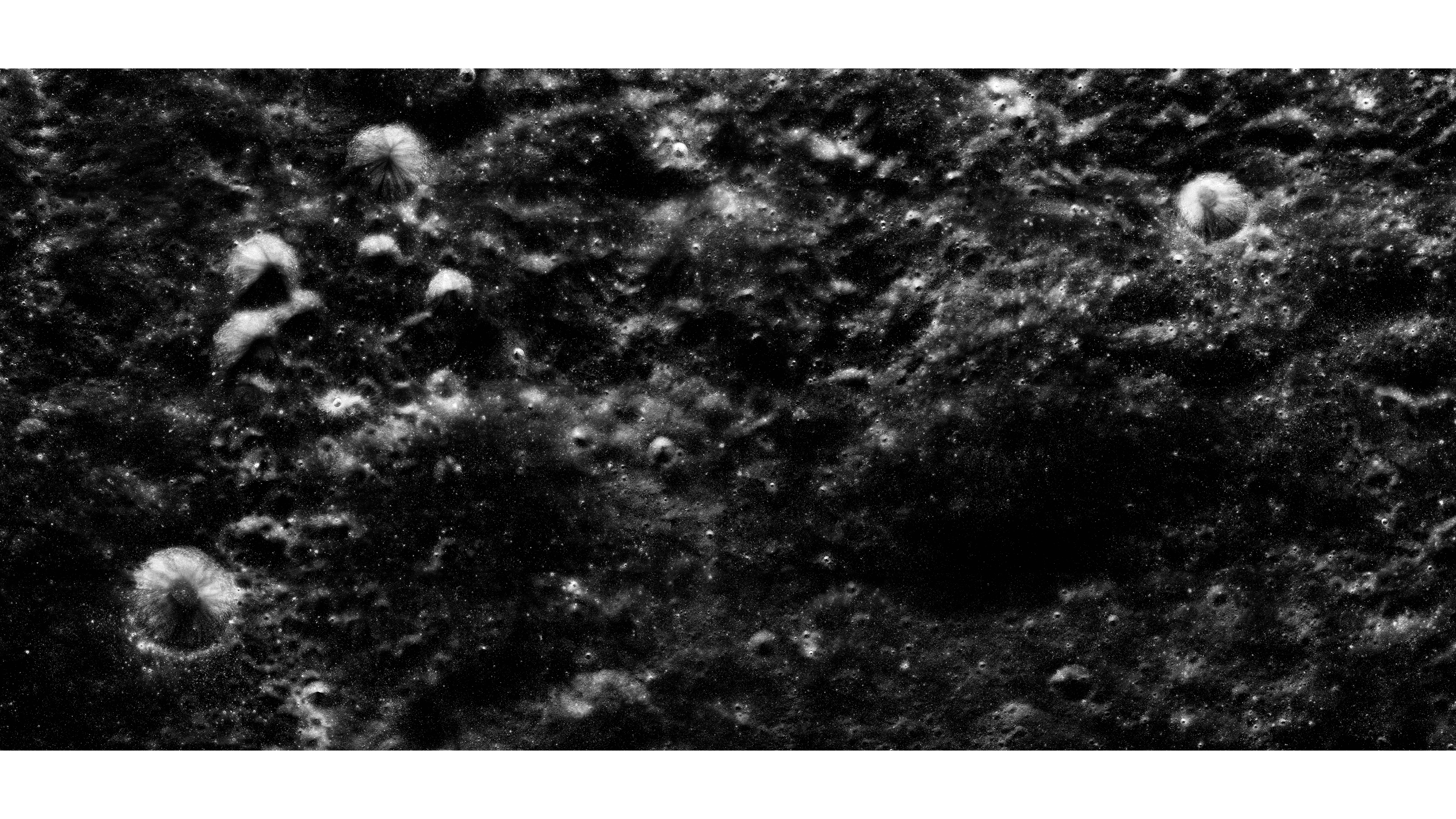 Andrew Zuckerman - Moon - 3