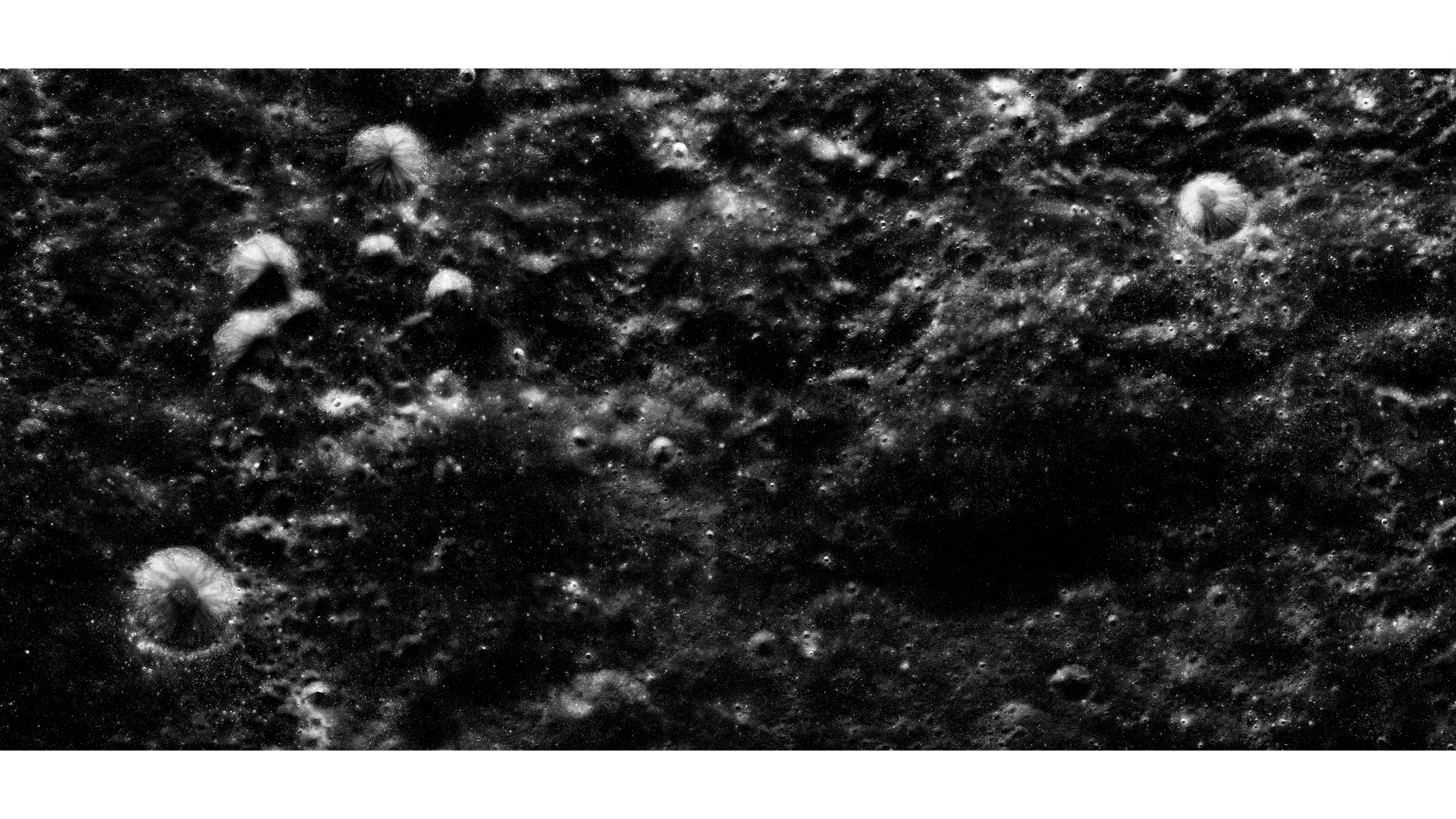 Andrew Zuckerman - Moon - 3