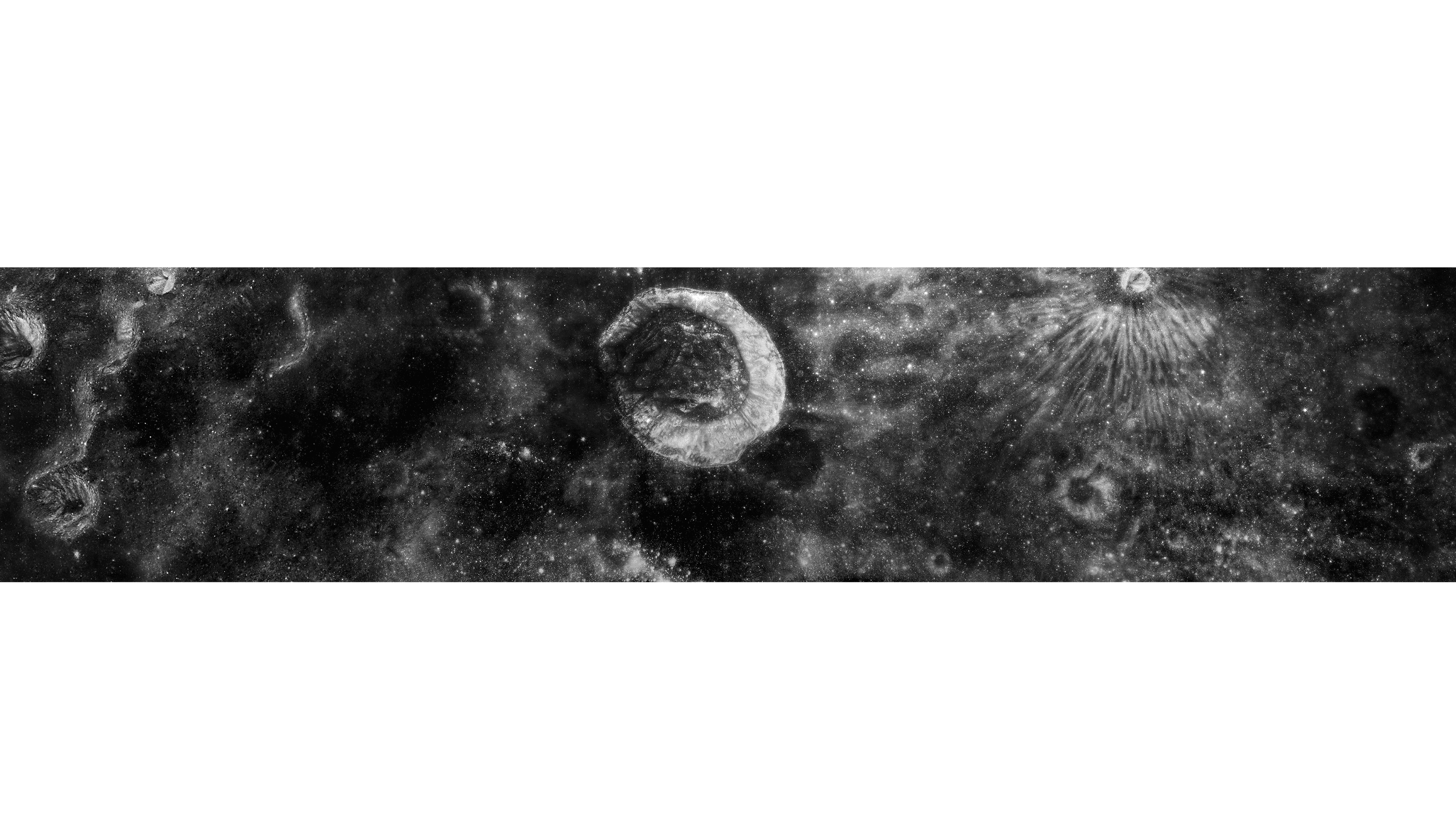 Andrew Zuckerman - Moon - 9