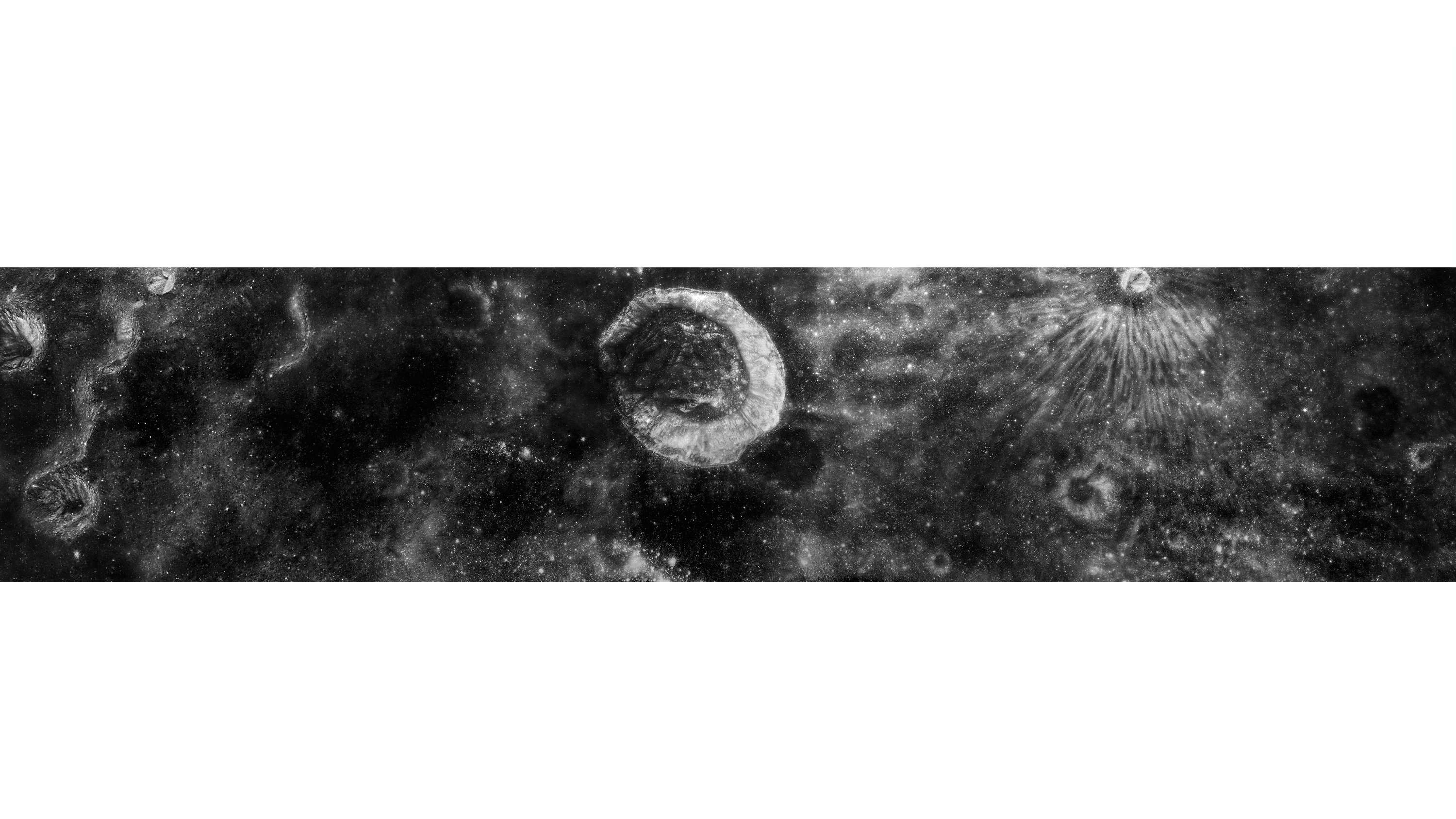 Andrew Zuckerman - Moon - 9