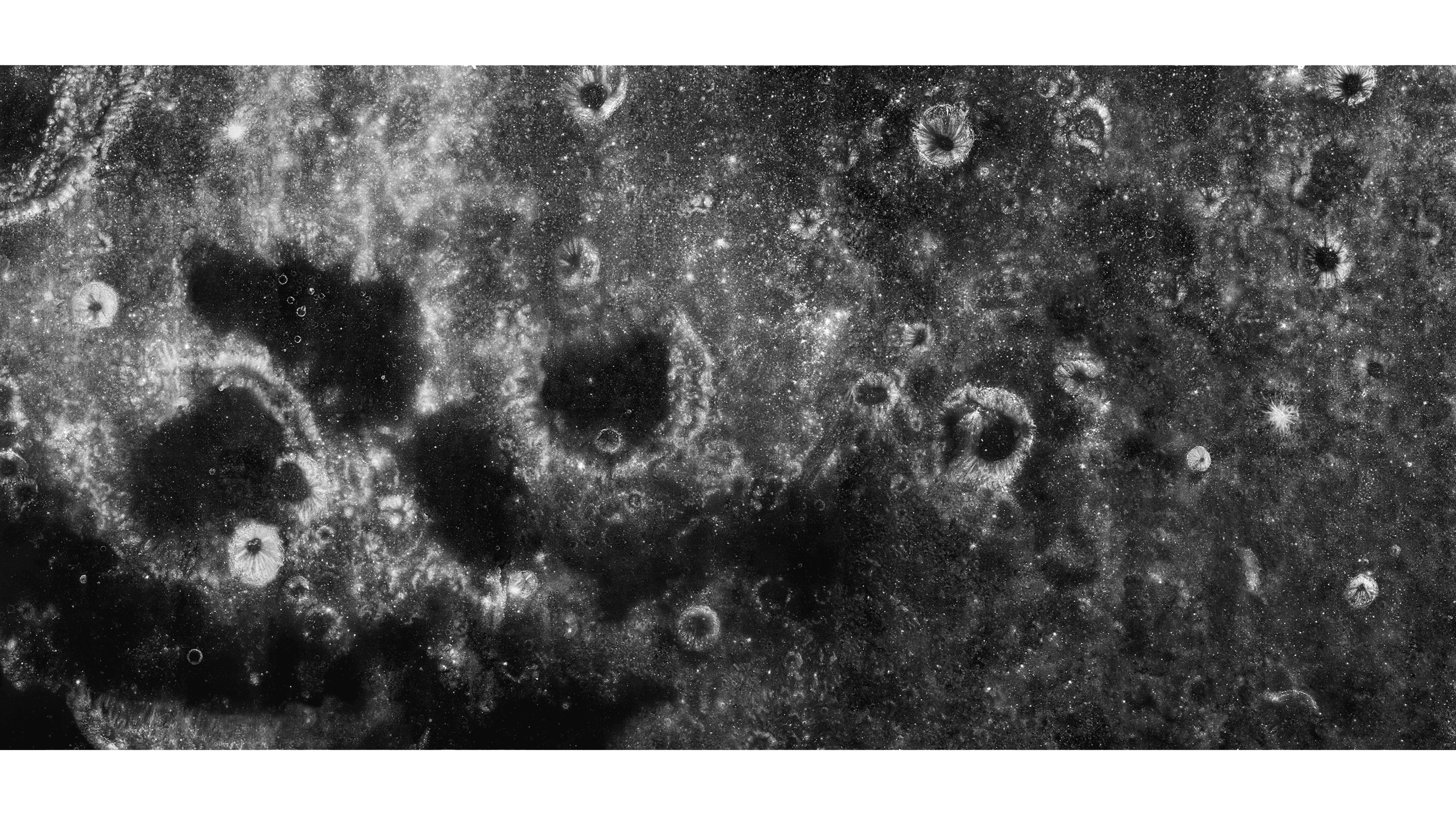 Andrew Zuckerman - Moon - 0