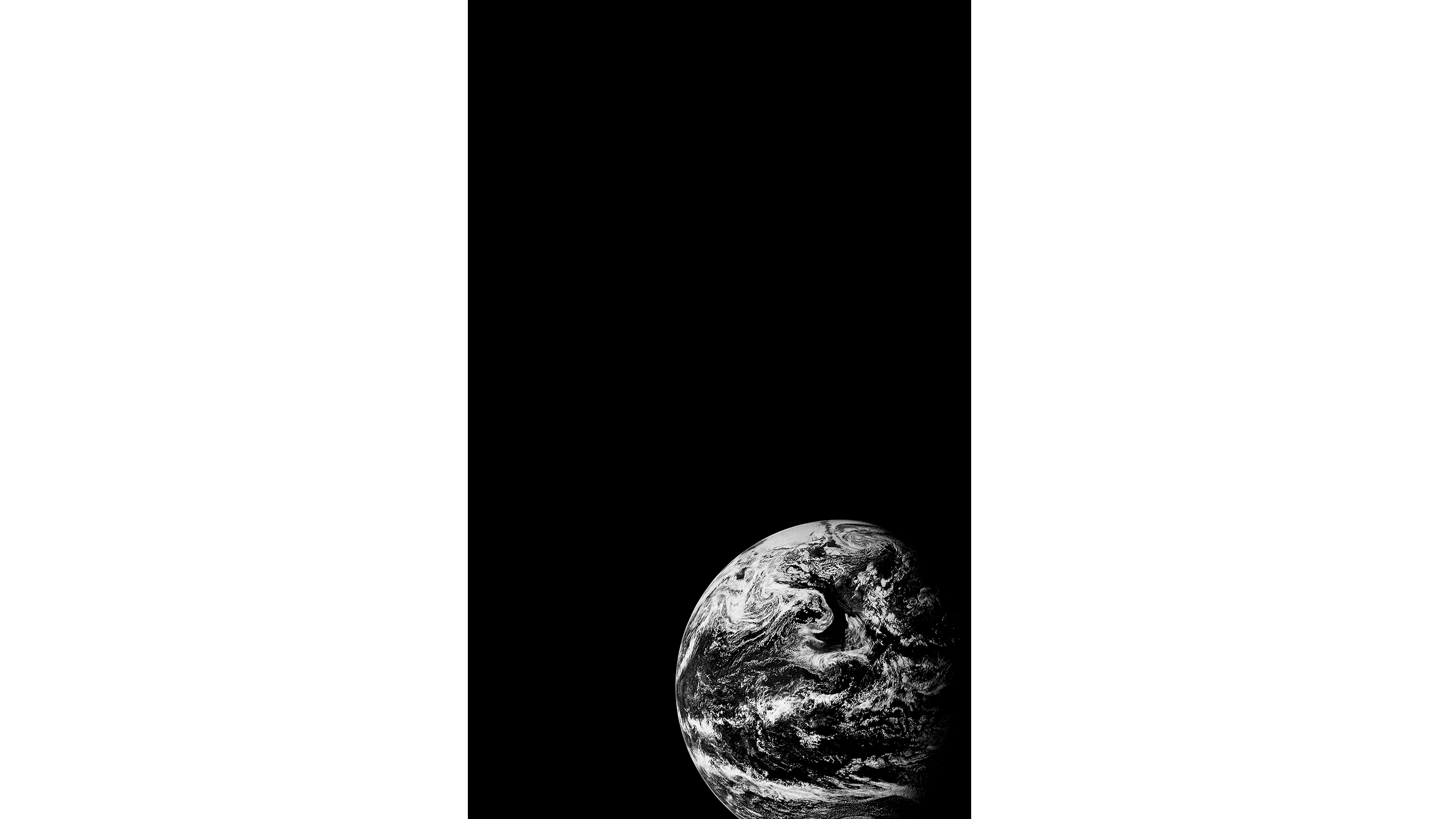 Andrew Zuckerman - Earth - 6