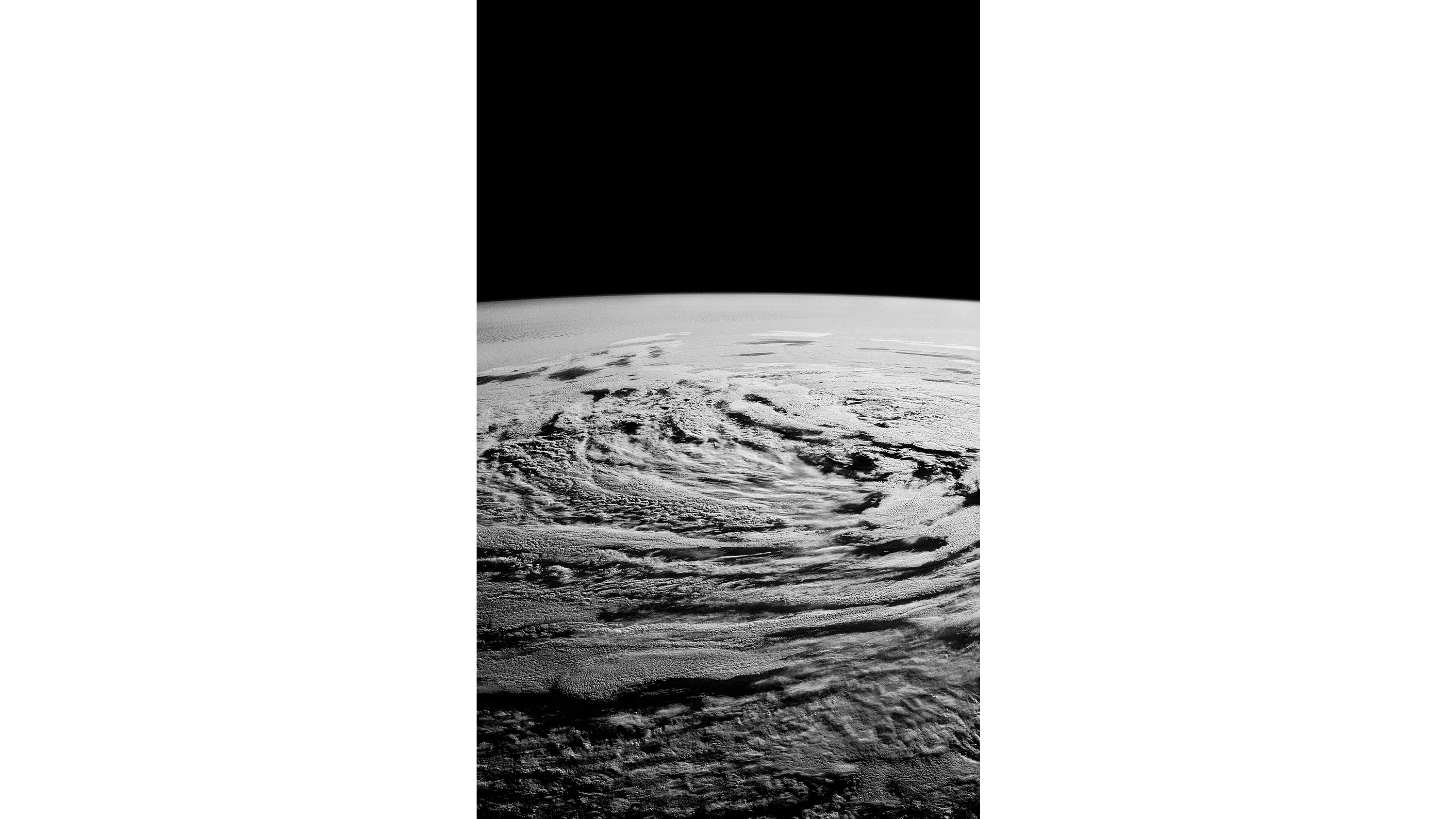 Andrew Zuckerman - Earth - 5