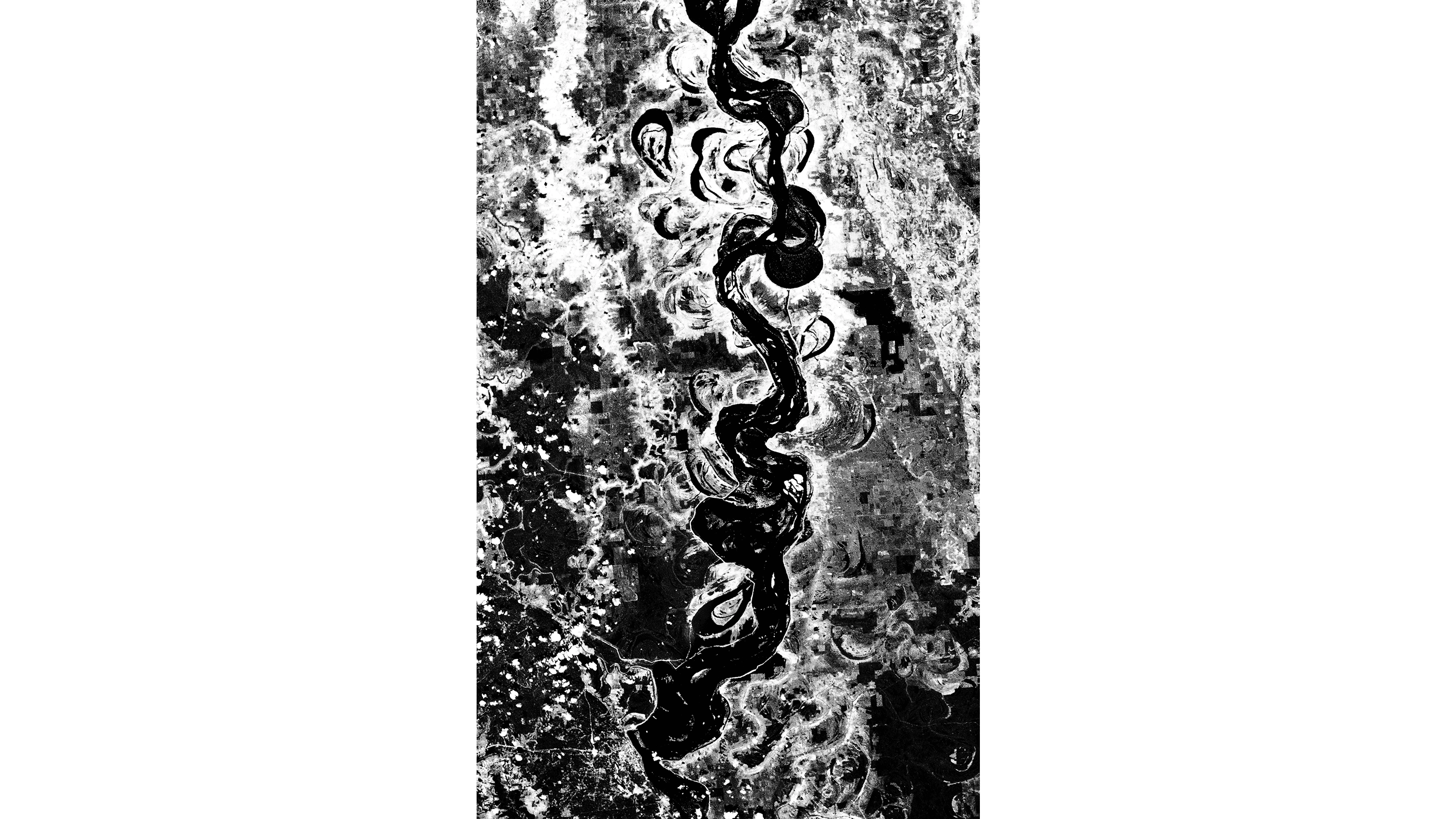 Andrew Zuckerman - Earth - 2