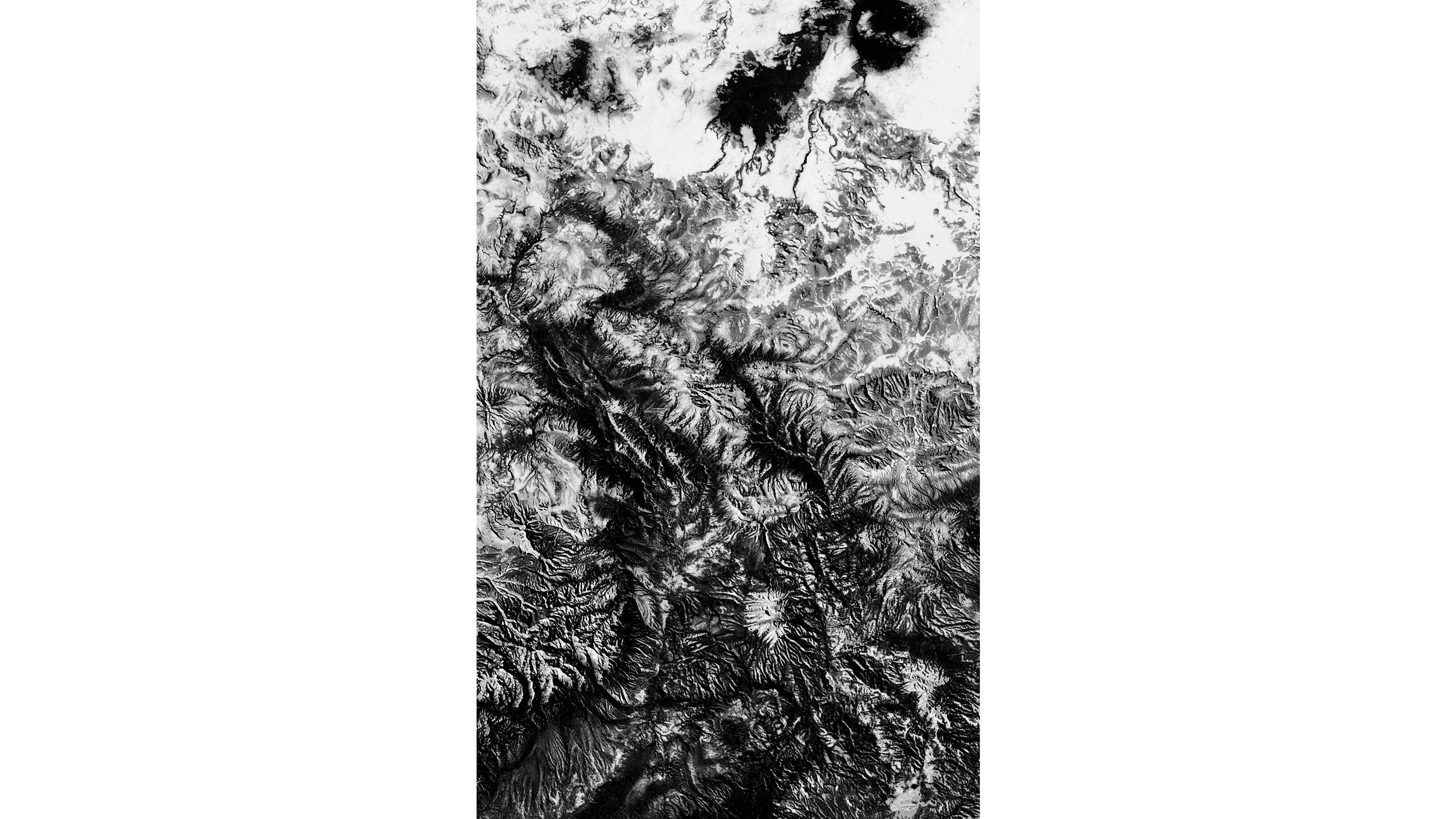 Andrew Zuckerman - Earth - 3