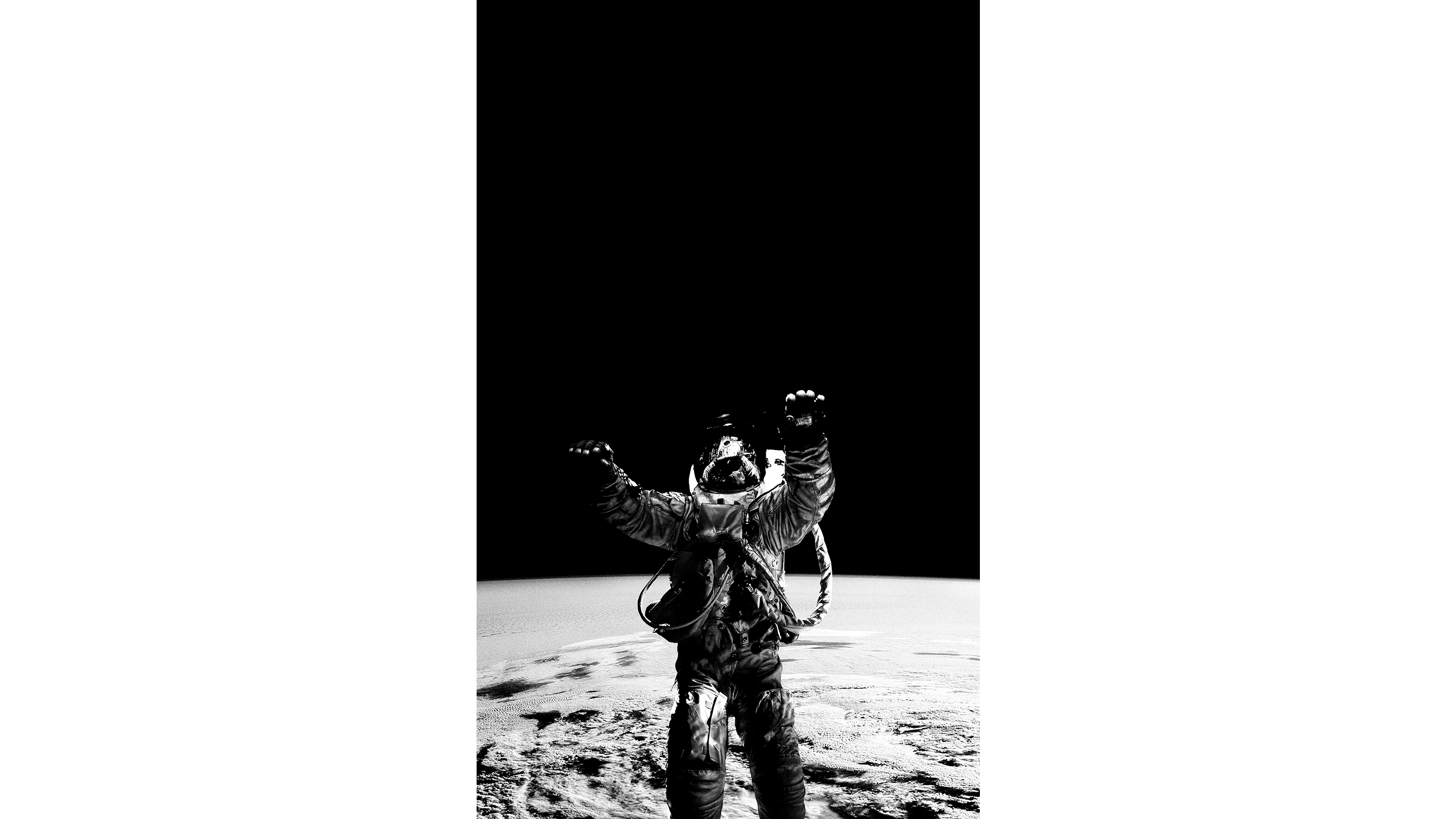 Andrew Zuckerman - Earth - 0