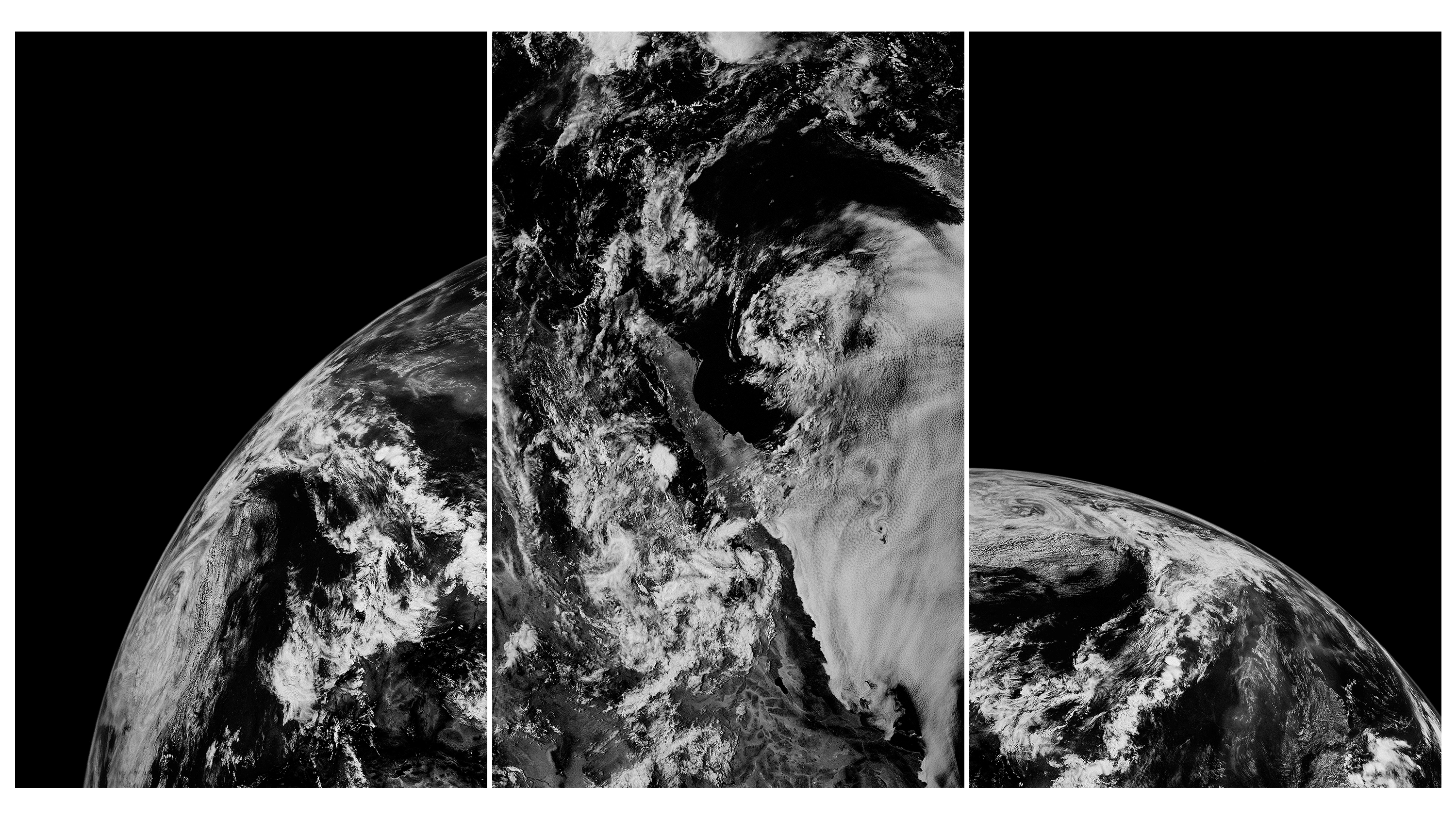 Andrew Zuckerman - Earth - 9