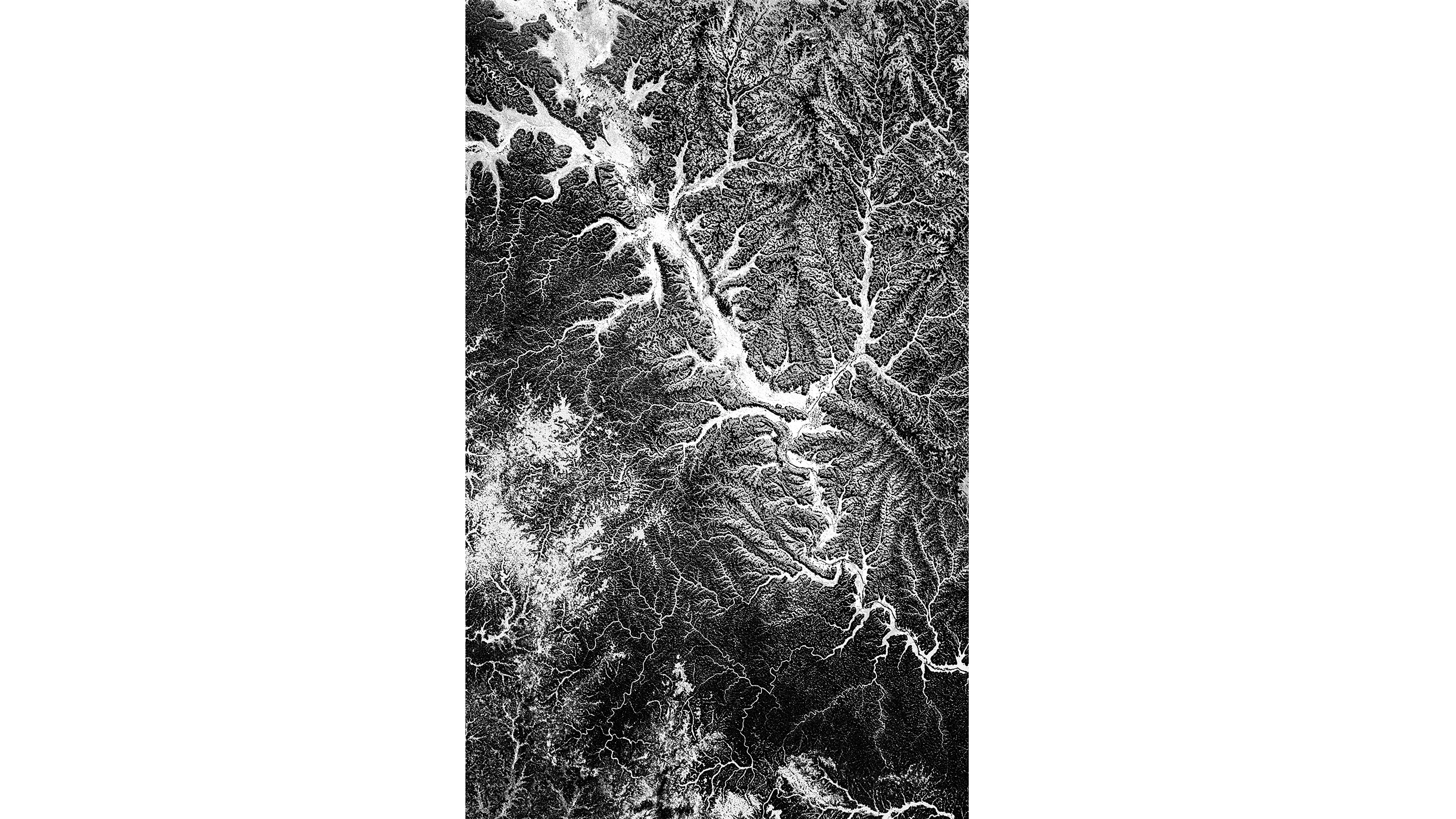 Andrew Zuckerman - Earth - 1