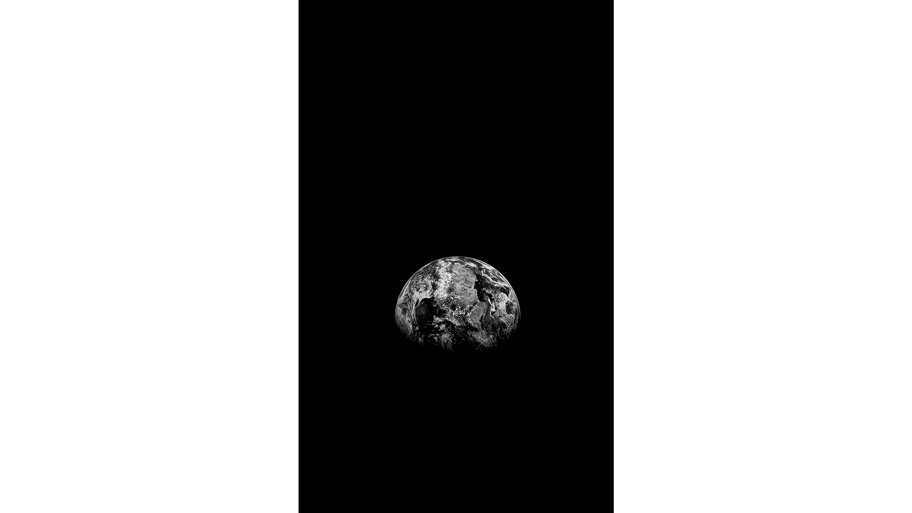Andrew Zuckerman - Earth - 8