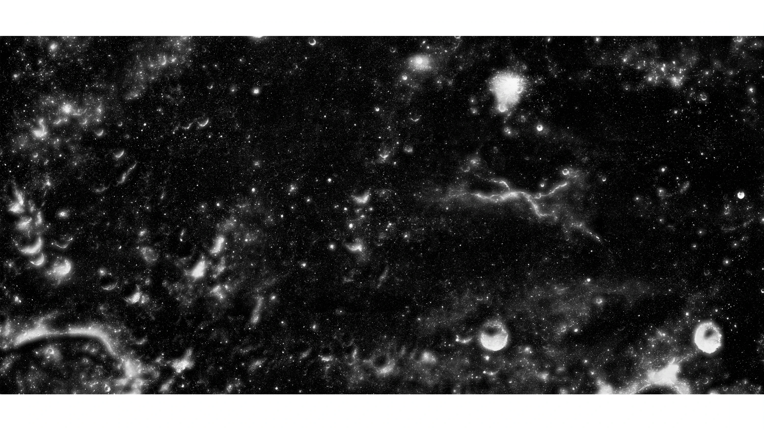 Andrew Zuckerman - Moon - 6