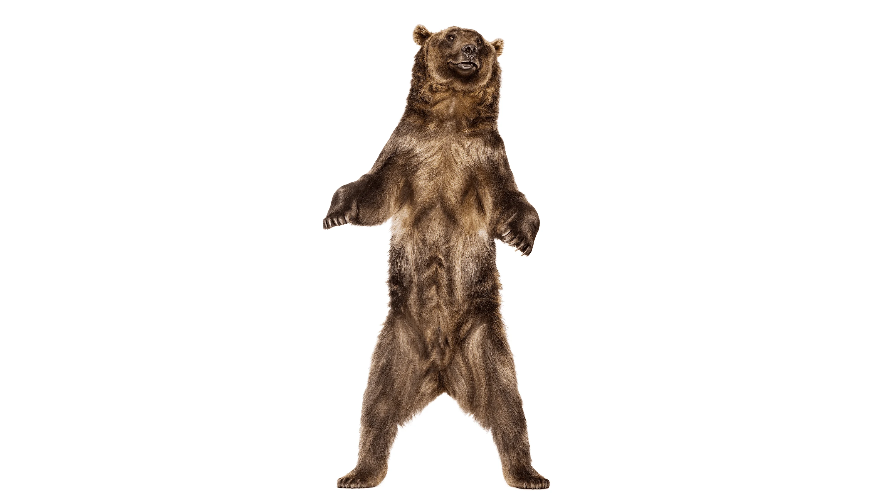 Andrew Zuckerman - Creature - 5