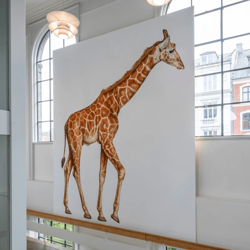 Kunsthal Charlottenberg