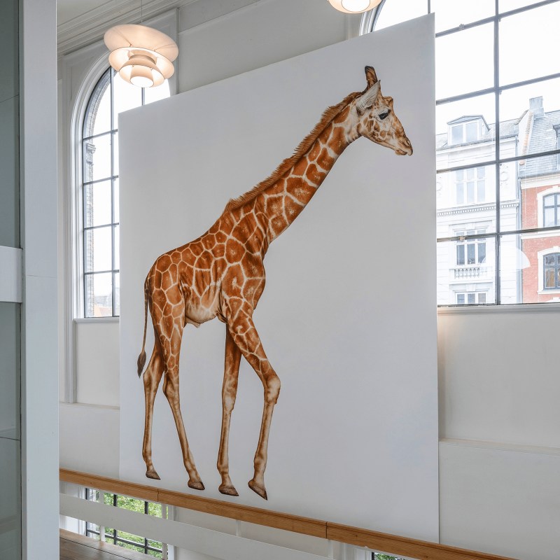 Kunsthal Charlottenberg