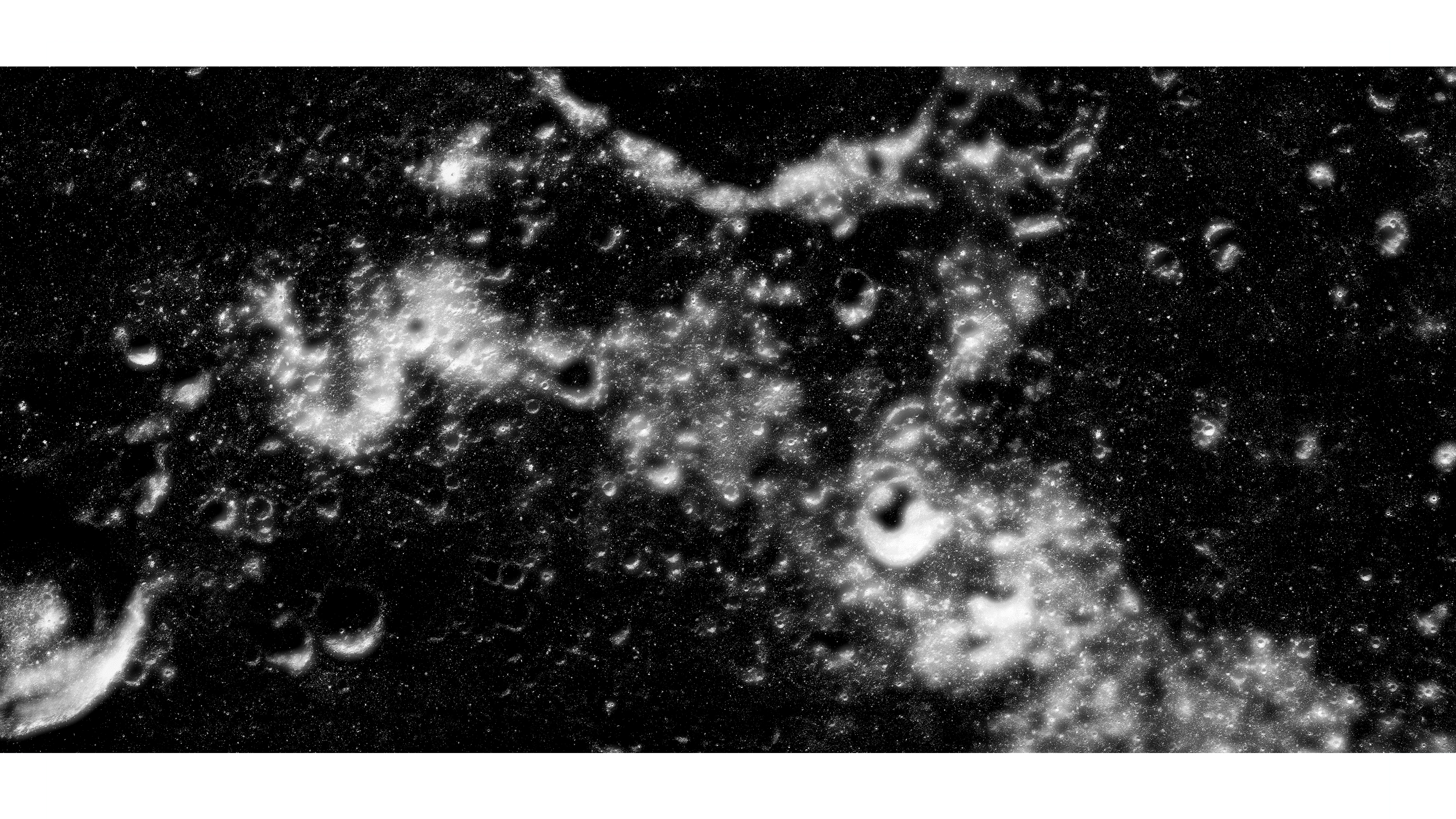 Andrew Zuckerman - Moon - 2