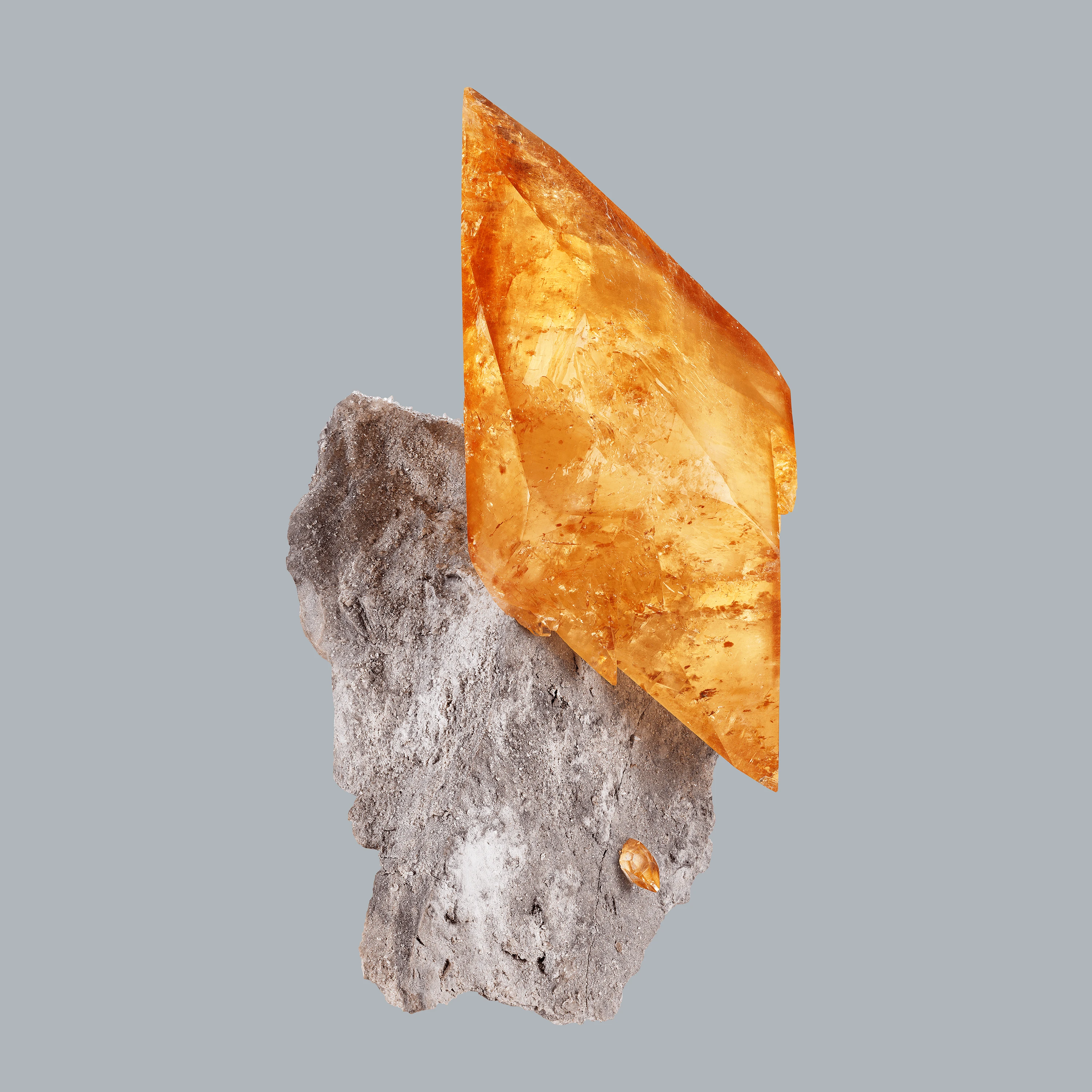 Andrew Zuckerman - Crystal - 18