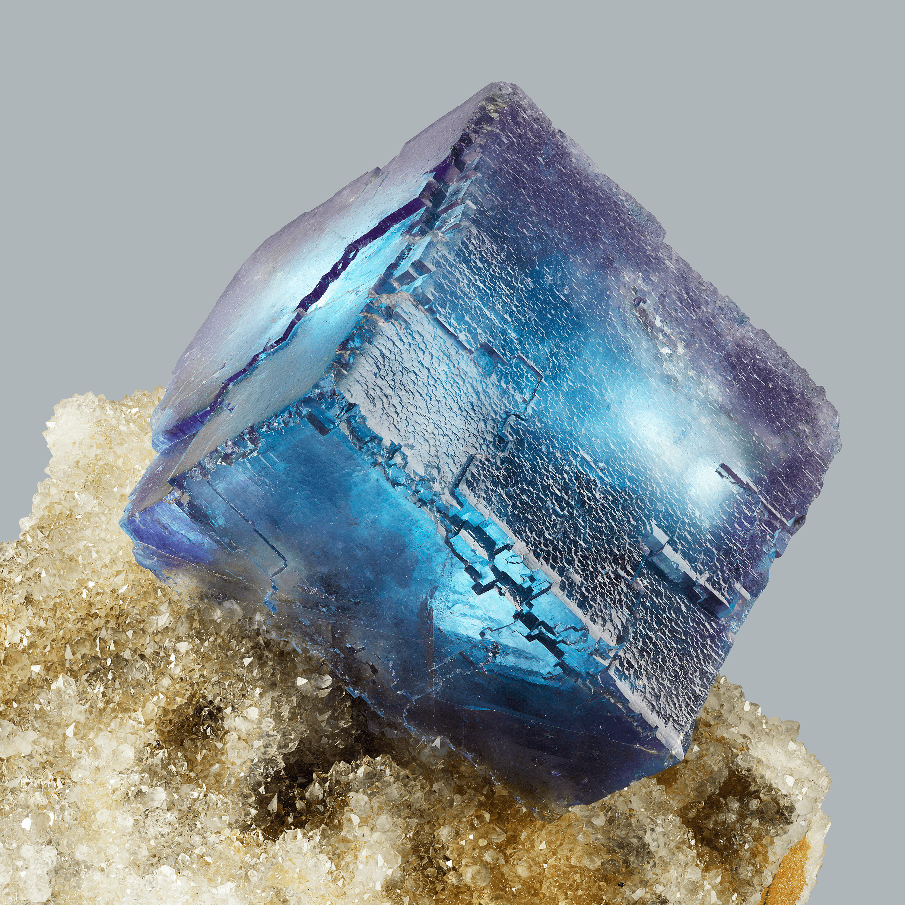 Andrew Zuckerman - Crystal - 0
