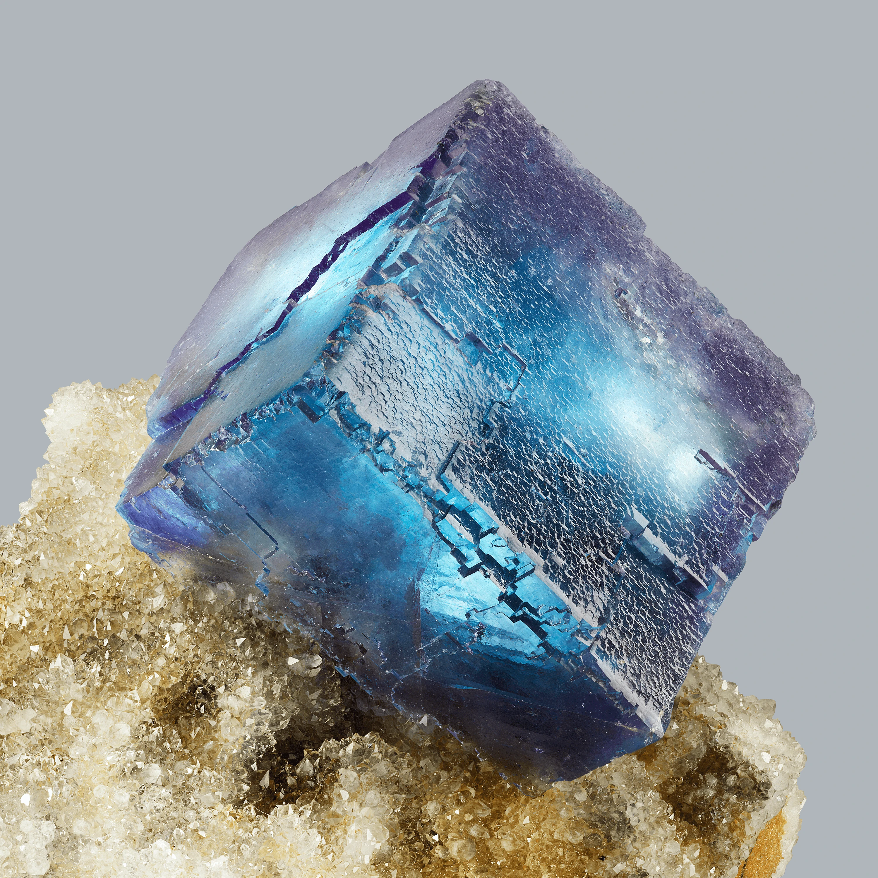 Andrew Zuckerman - Crystal - 0