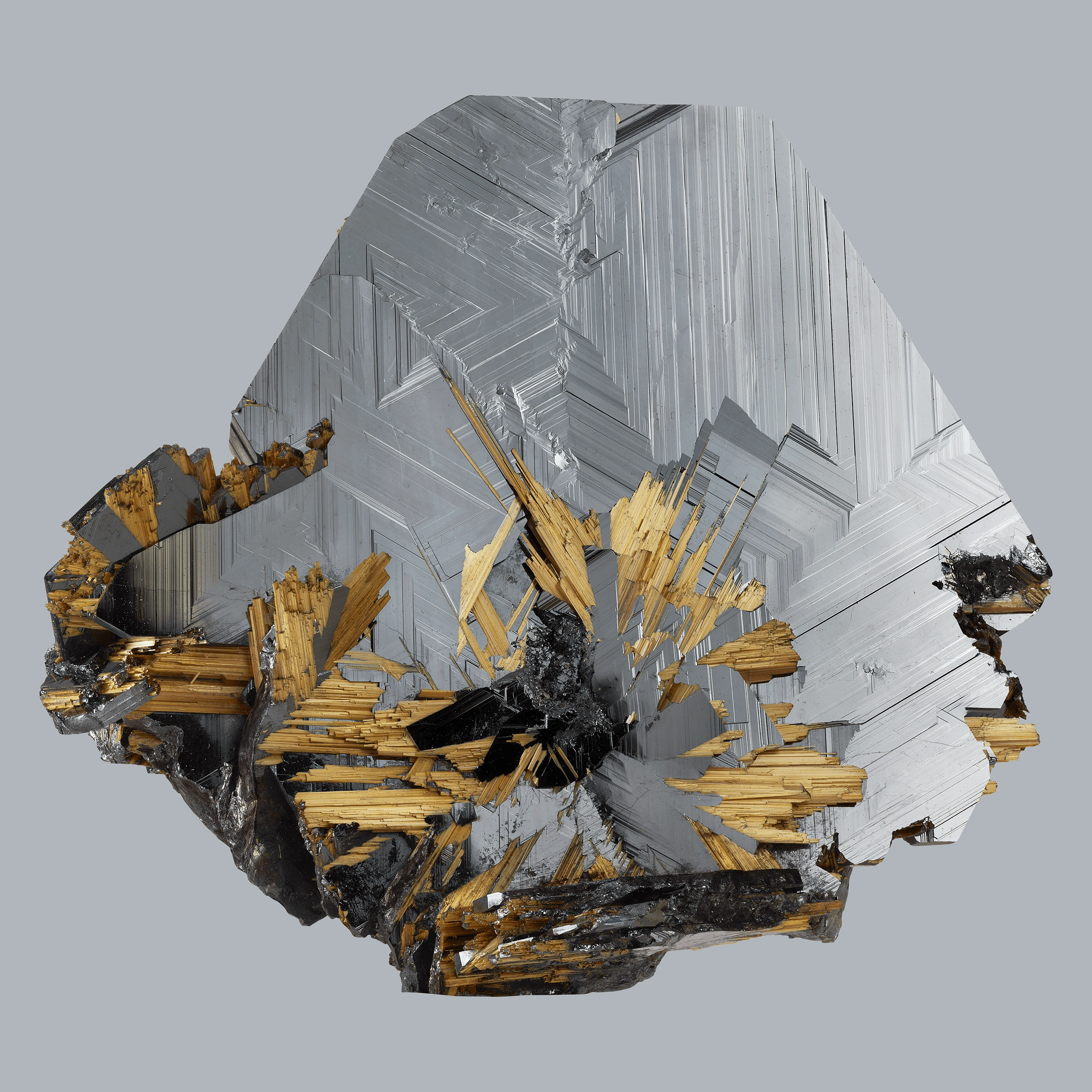 Andrew Zuckerman - Crystal - 1